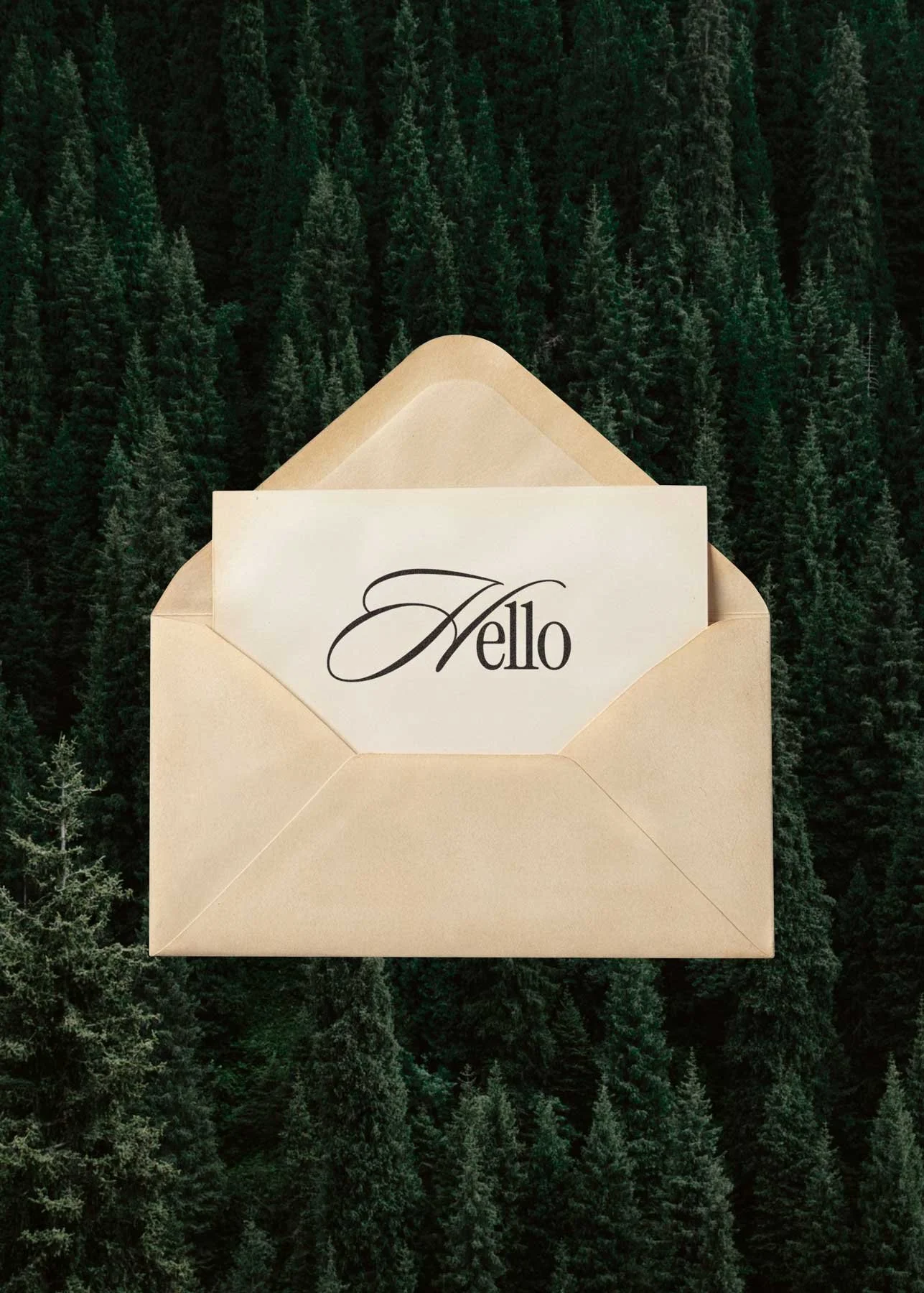 A beige envelope with a missing flap revealing a card inside that has the word 'Hello' written in elegant black script. The envelope is placed over a background of dense green pine trees.