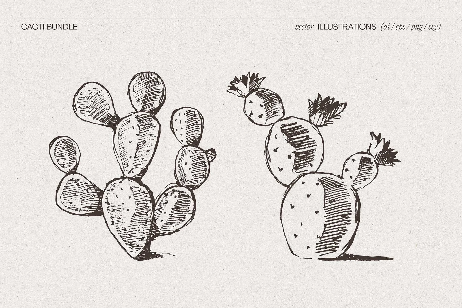 cacti-5.jpg