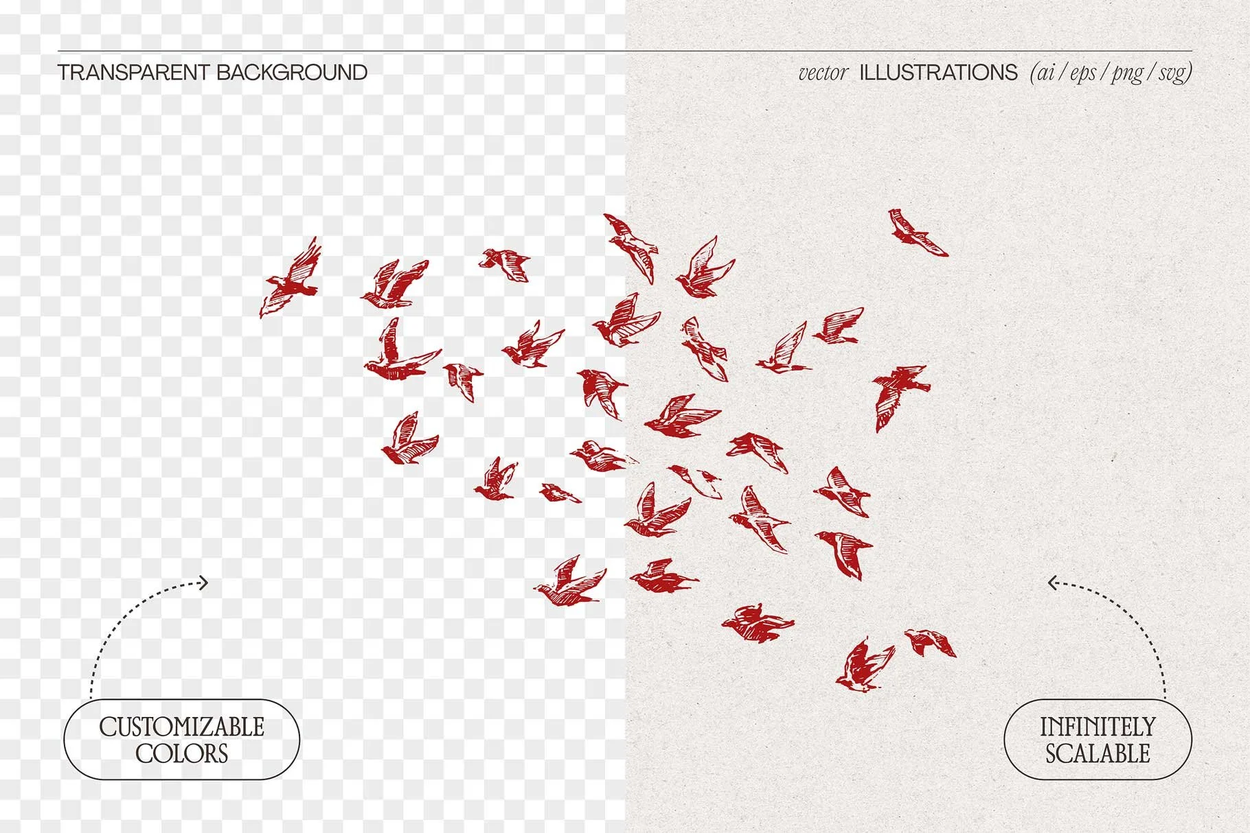 birds-flig-2.jpg