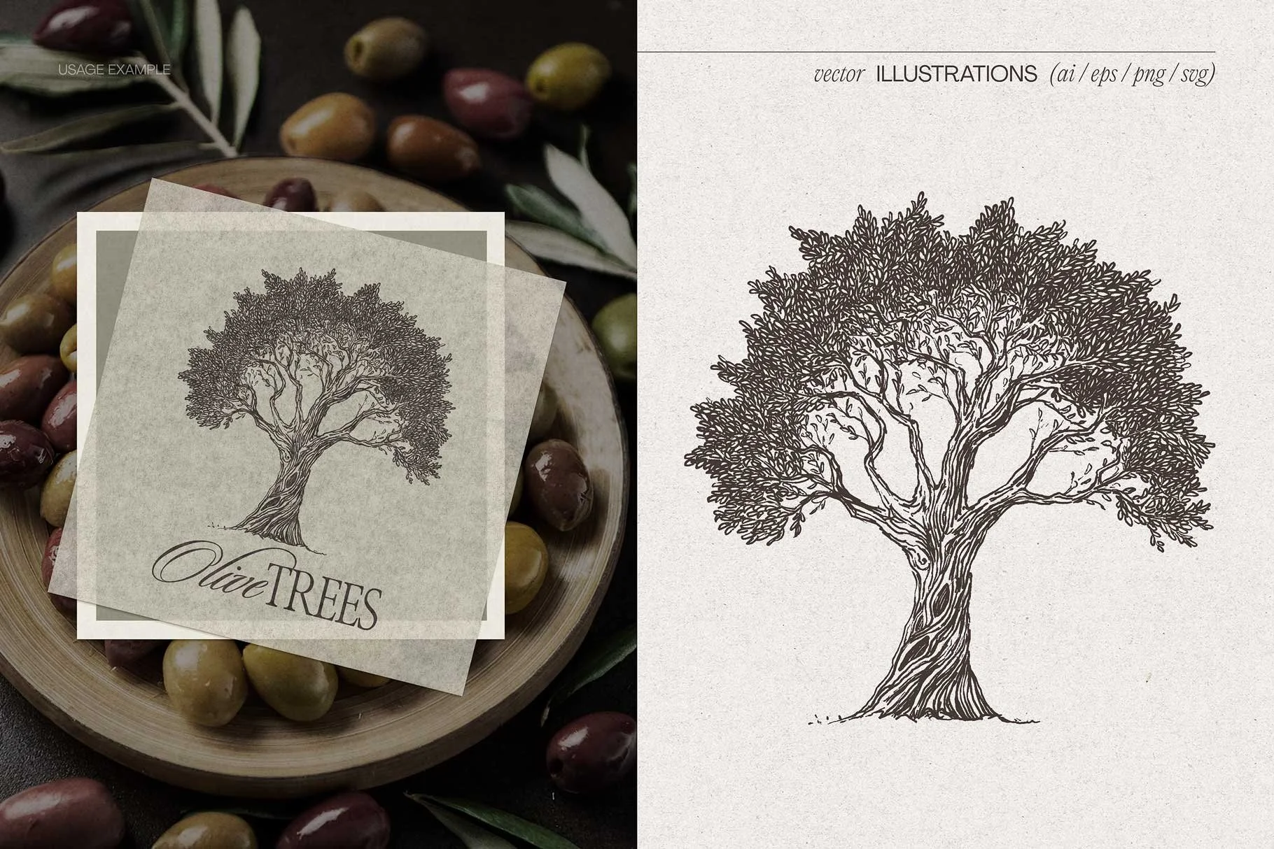olive-five-05.jpg