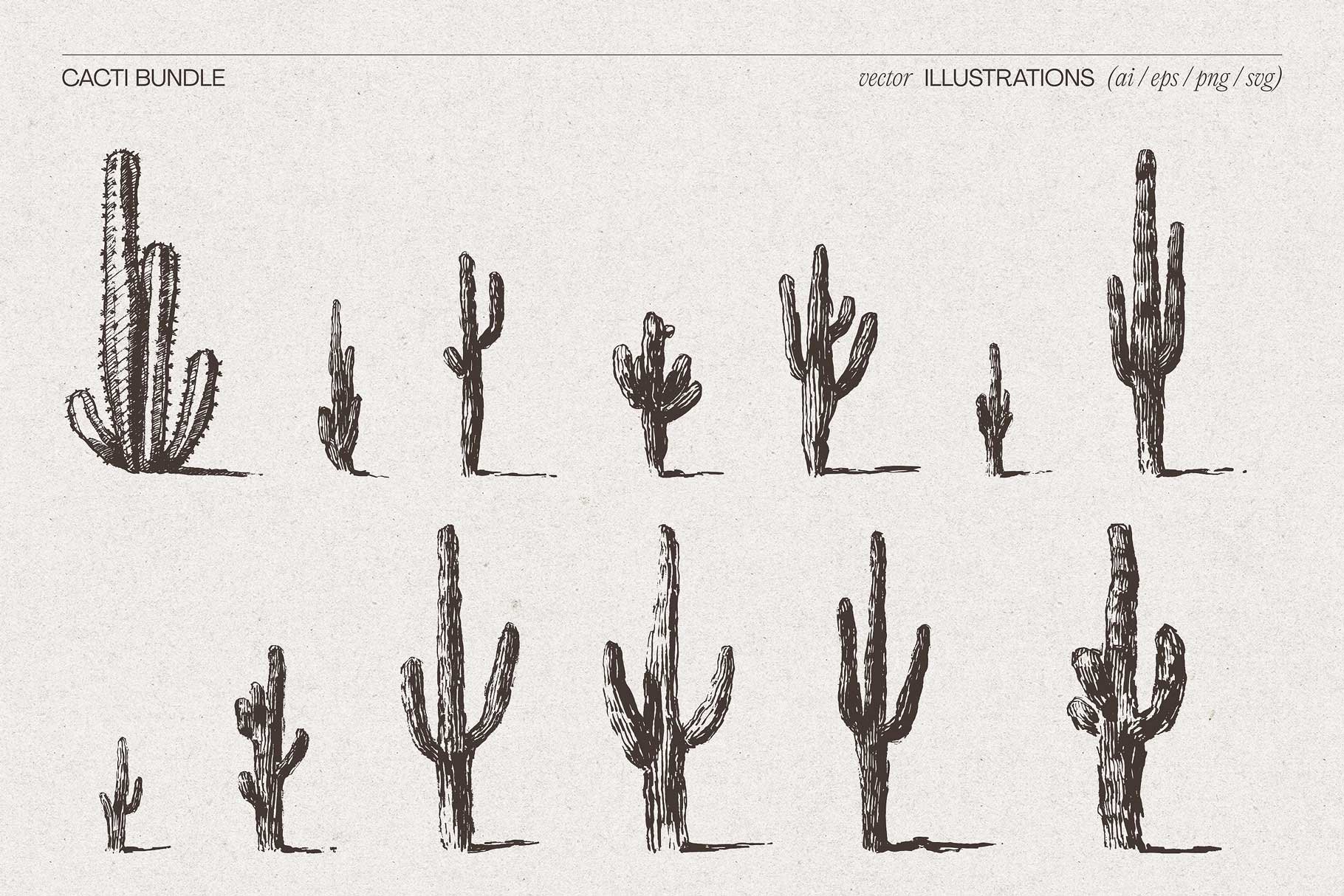 cacti-7.jpg