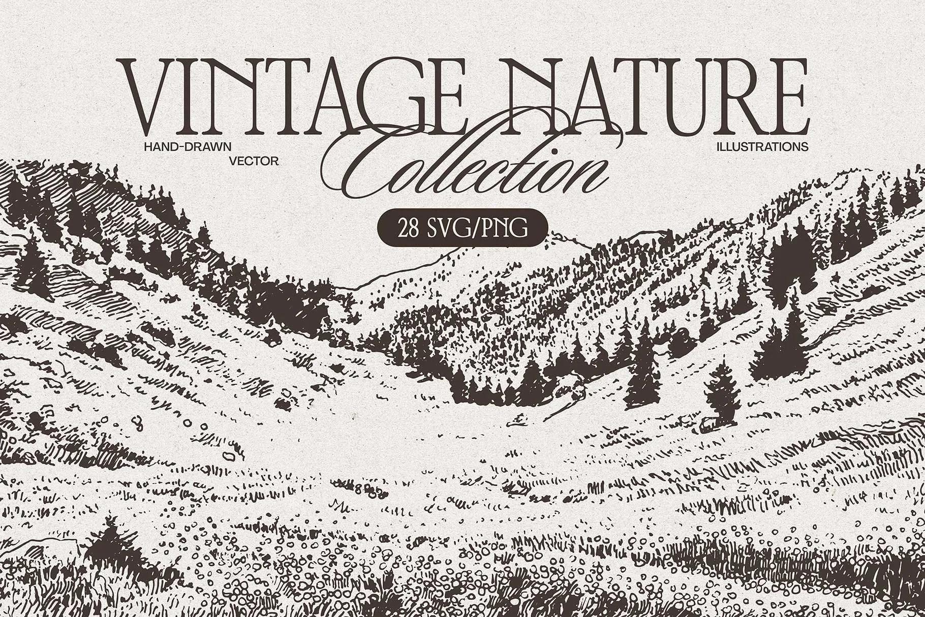 nature-01.jpg