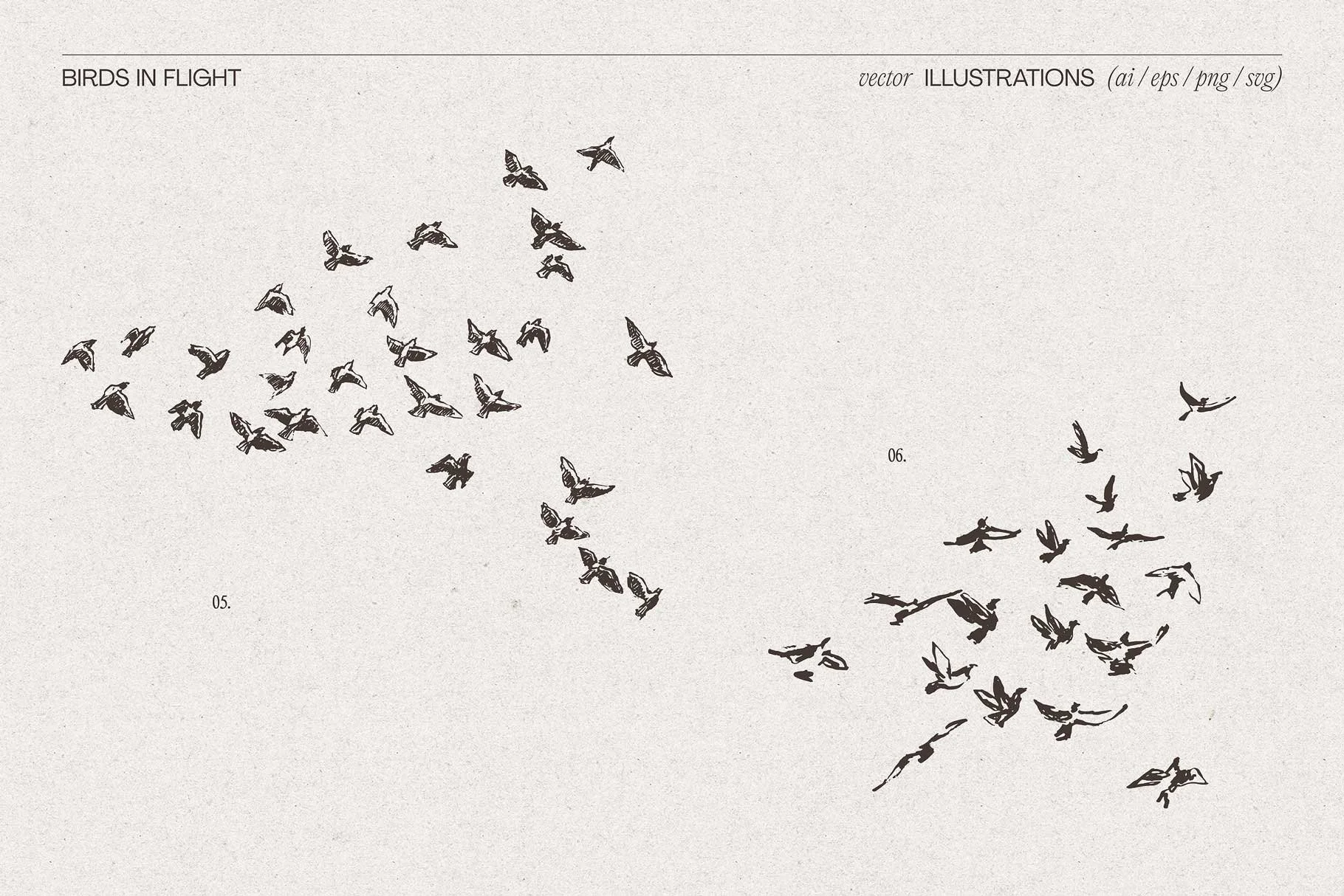 birds-flig-6.jpg
