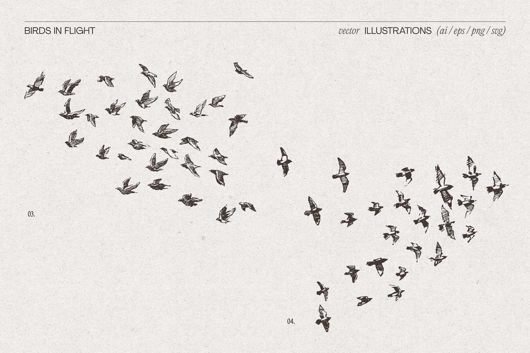 birds-flig-5.jpg