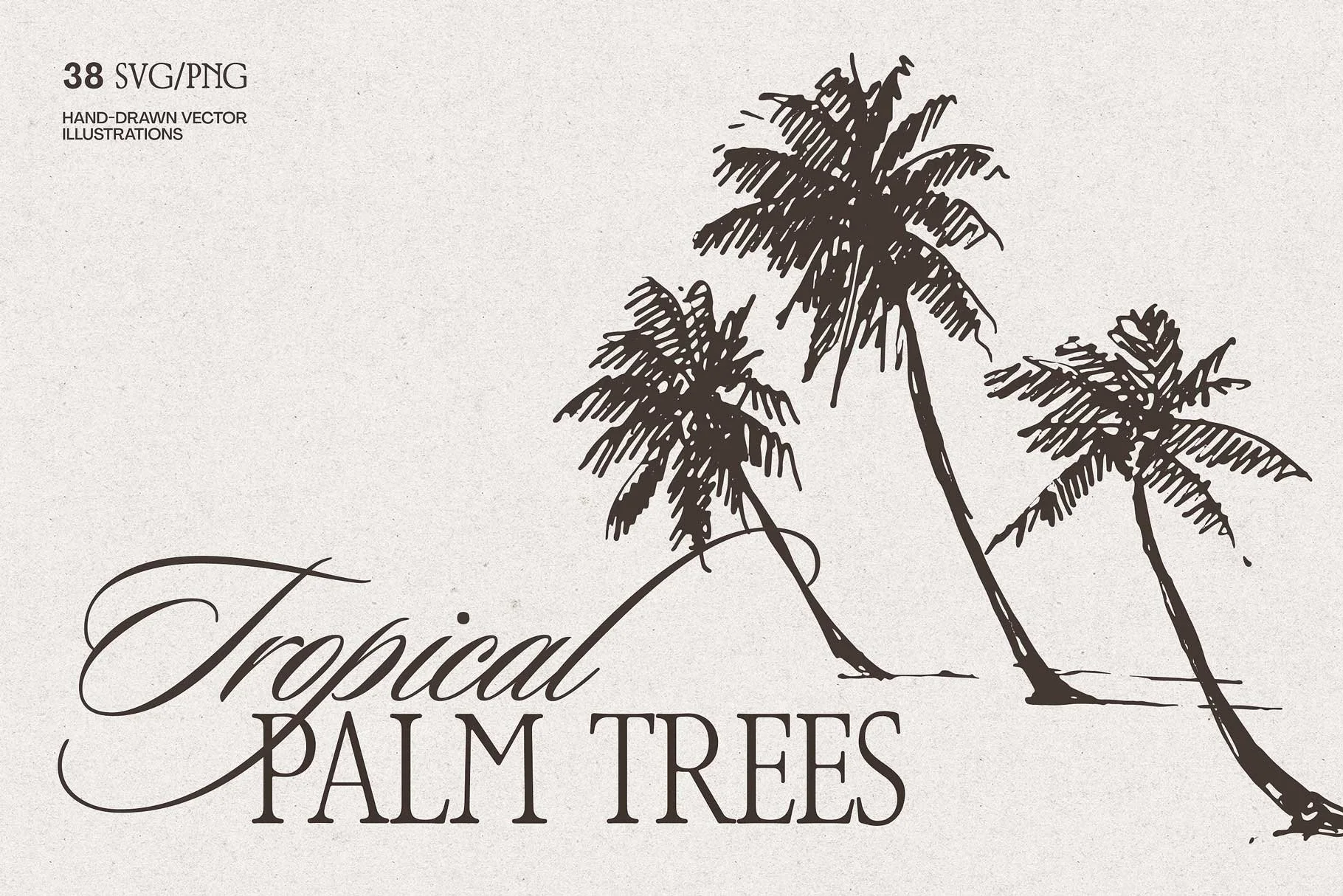 palm-tree-v-1-01.jpg