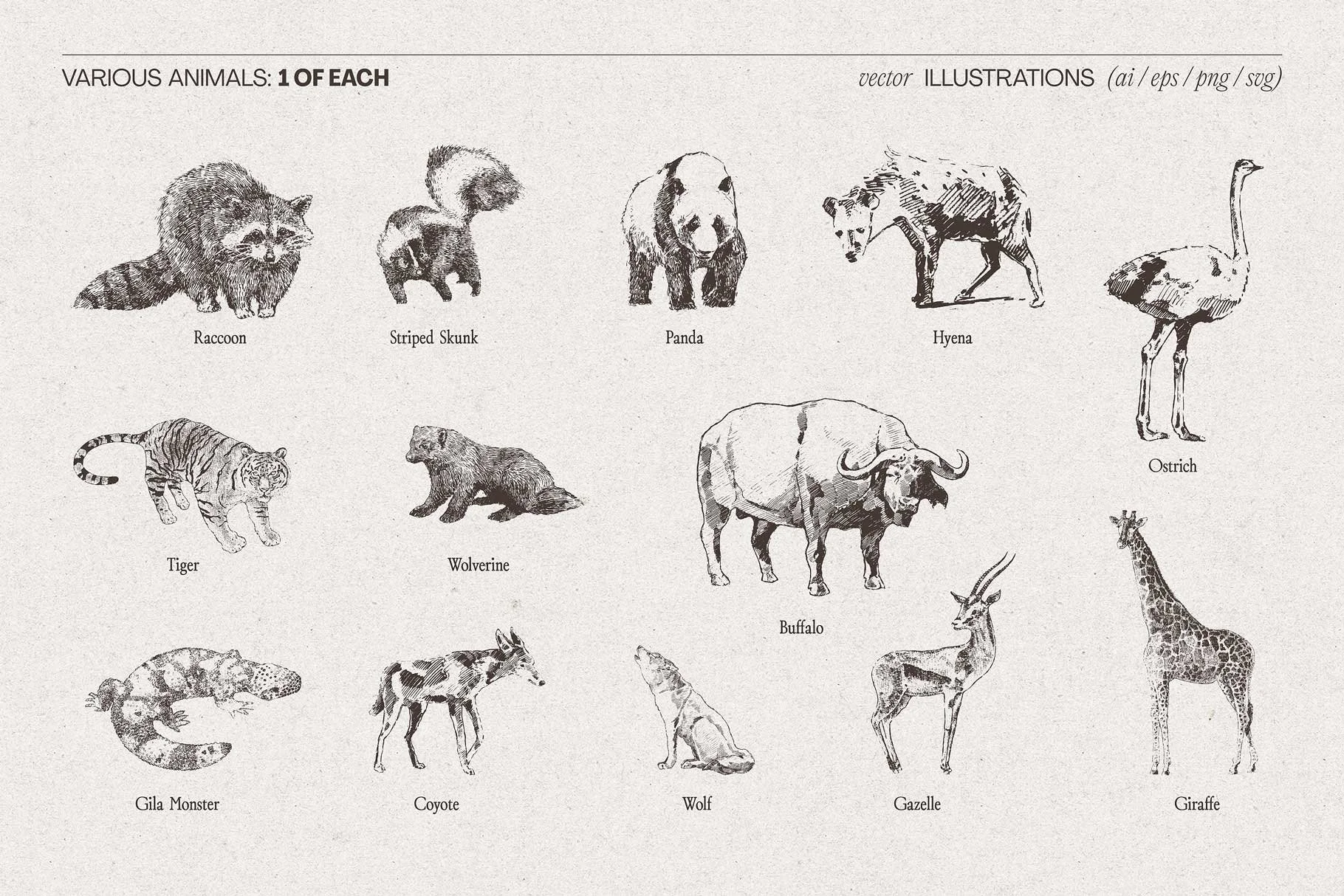 animal-bundle-20.jpg