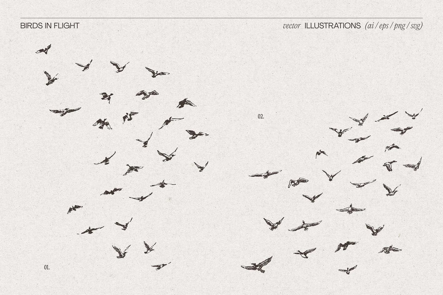 birds-flig-4.jpg