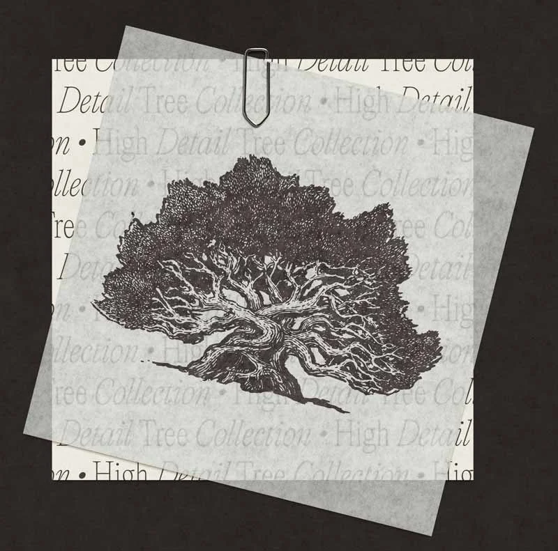 A black and white illustration of a detailed, gnarled tree with many twisting branches, placed on top of a piece of translucent paper clipped to a black background.