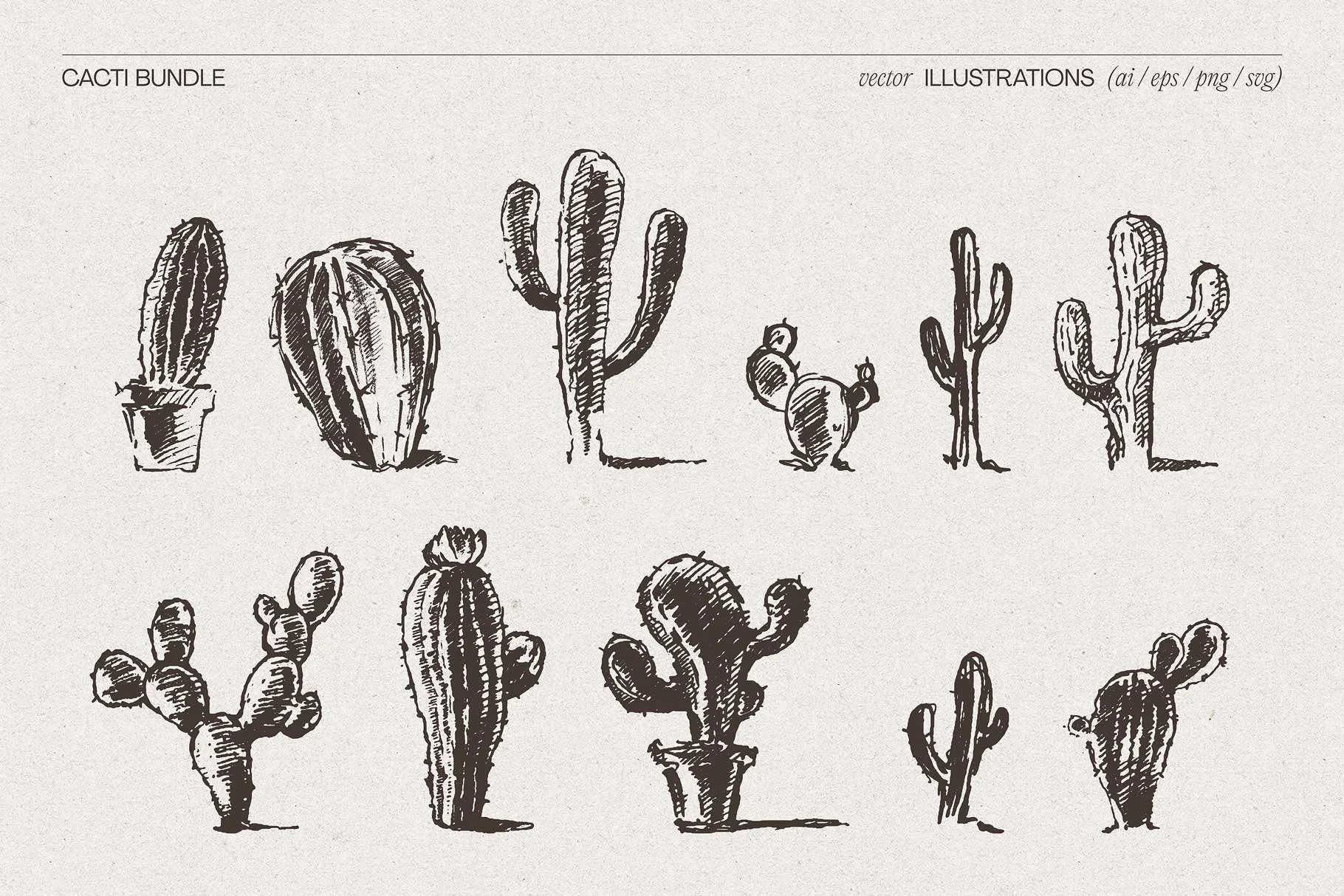 cacti-4.jpg
