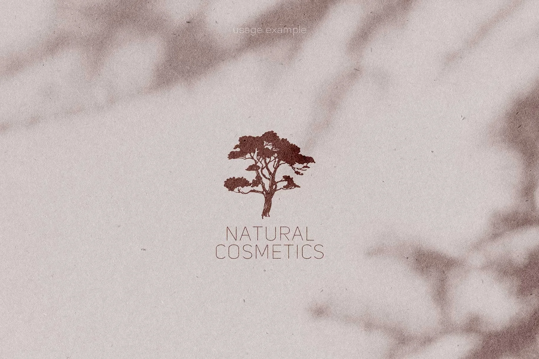 conifer-07.jpg