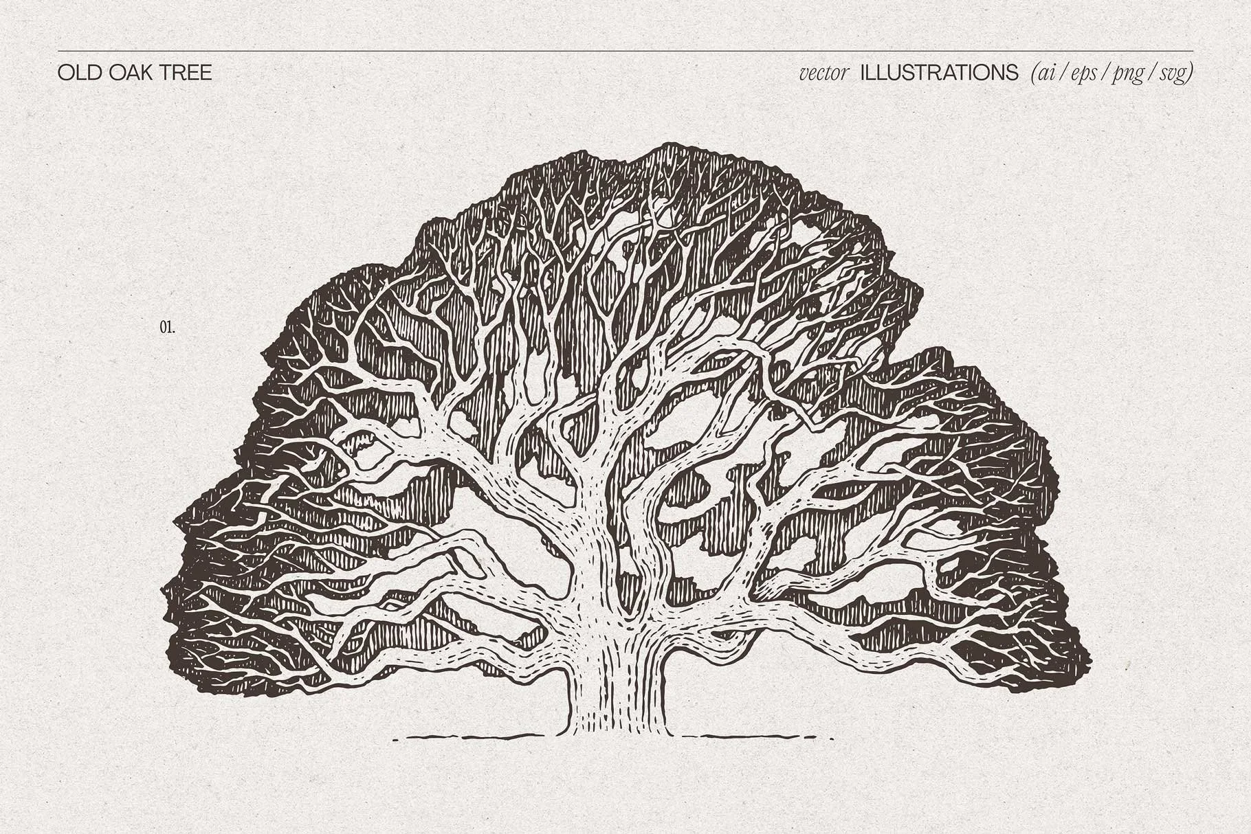oak-tree-4.jpg