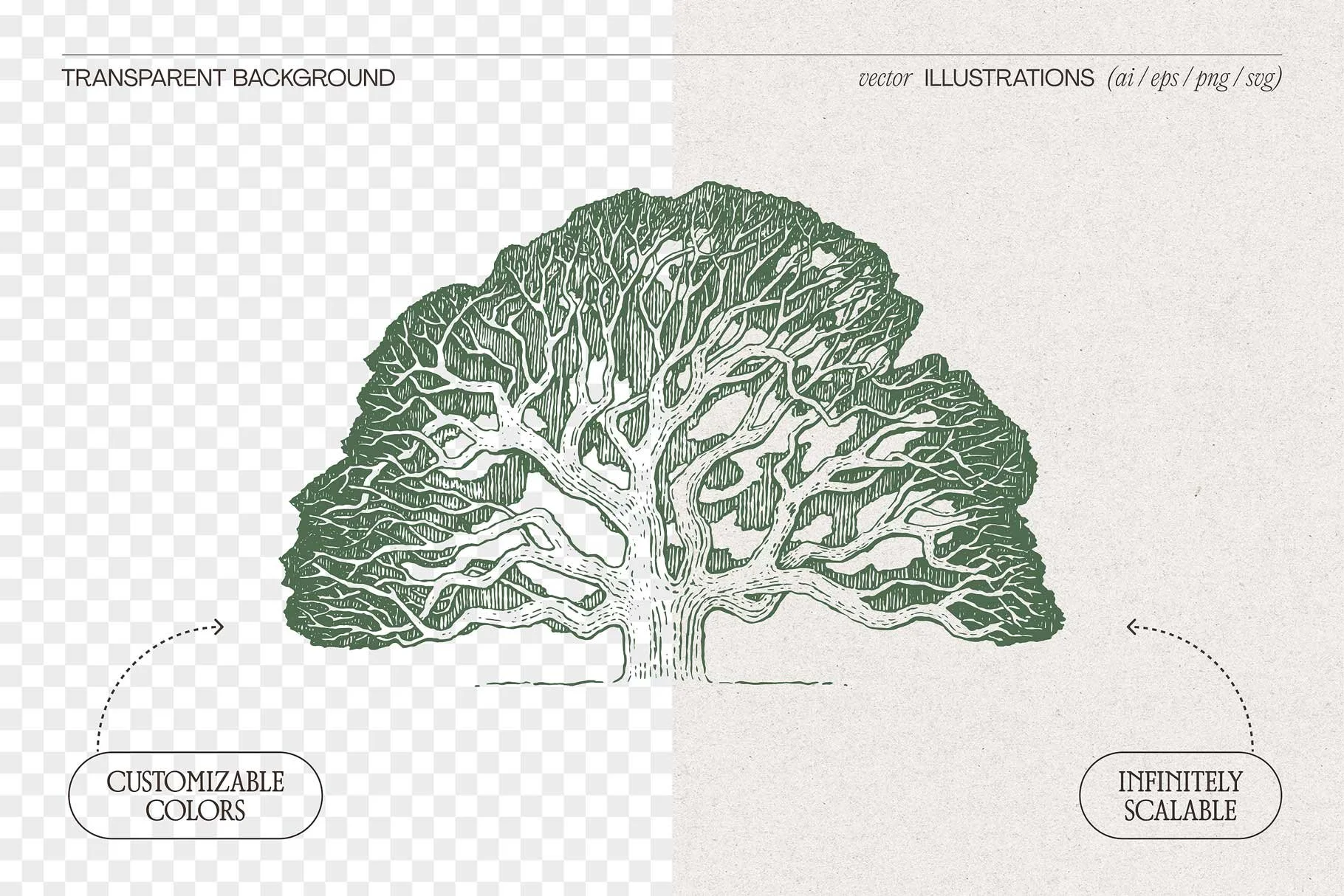 oak-tree-2.jpg