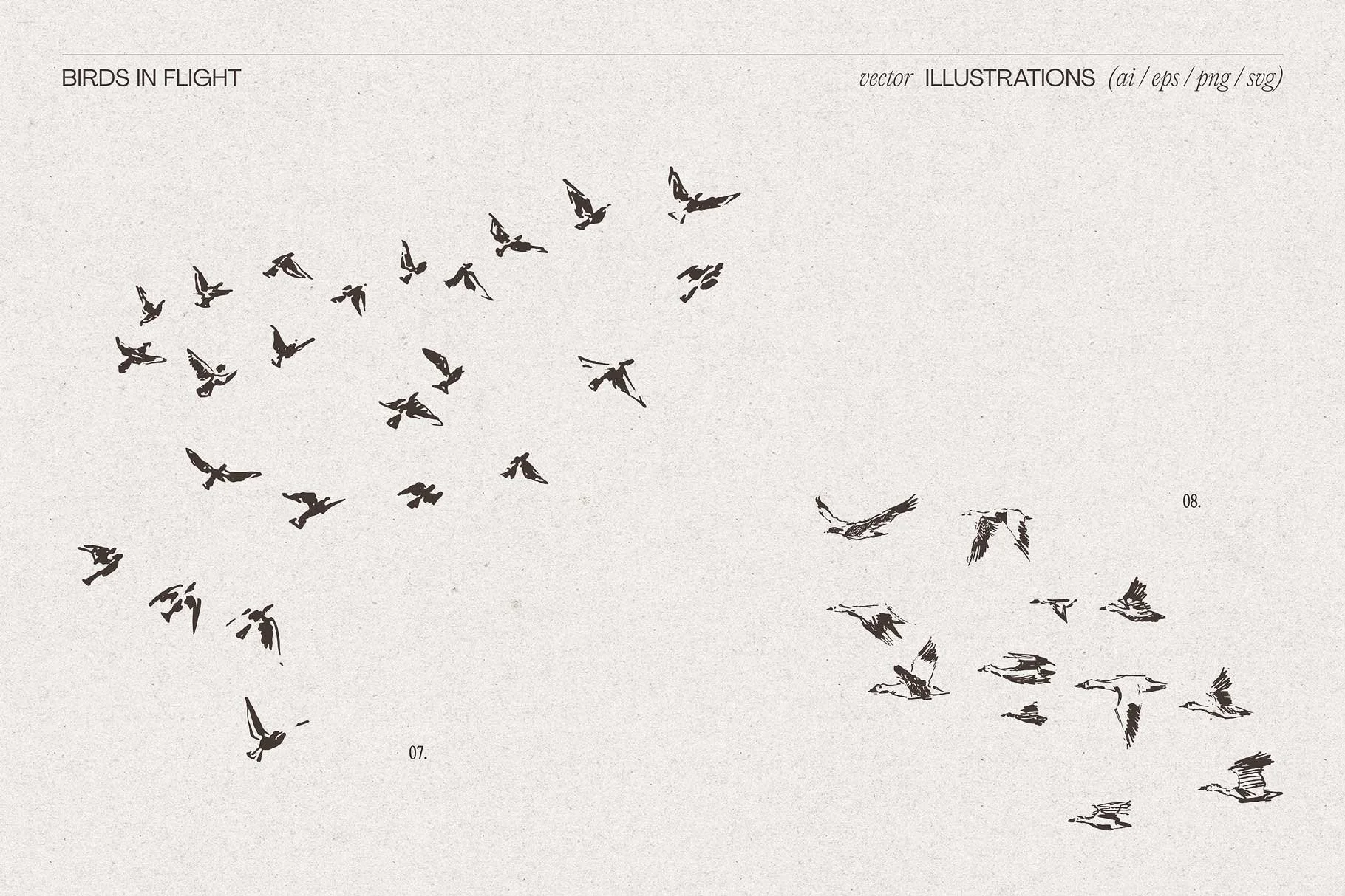 birds-flig-7.jpg