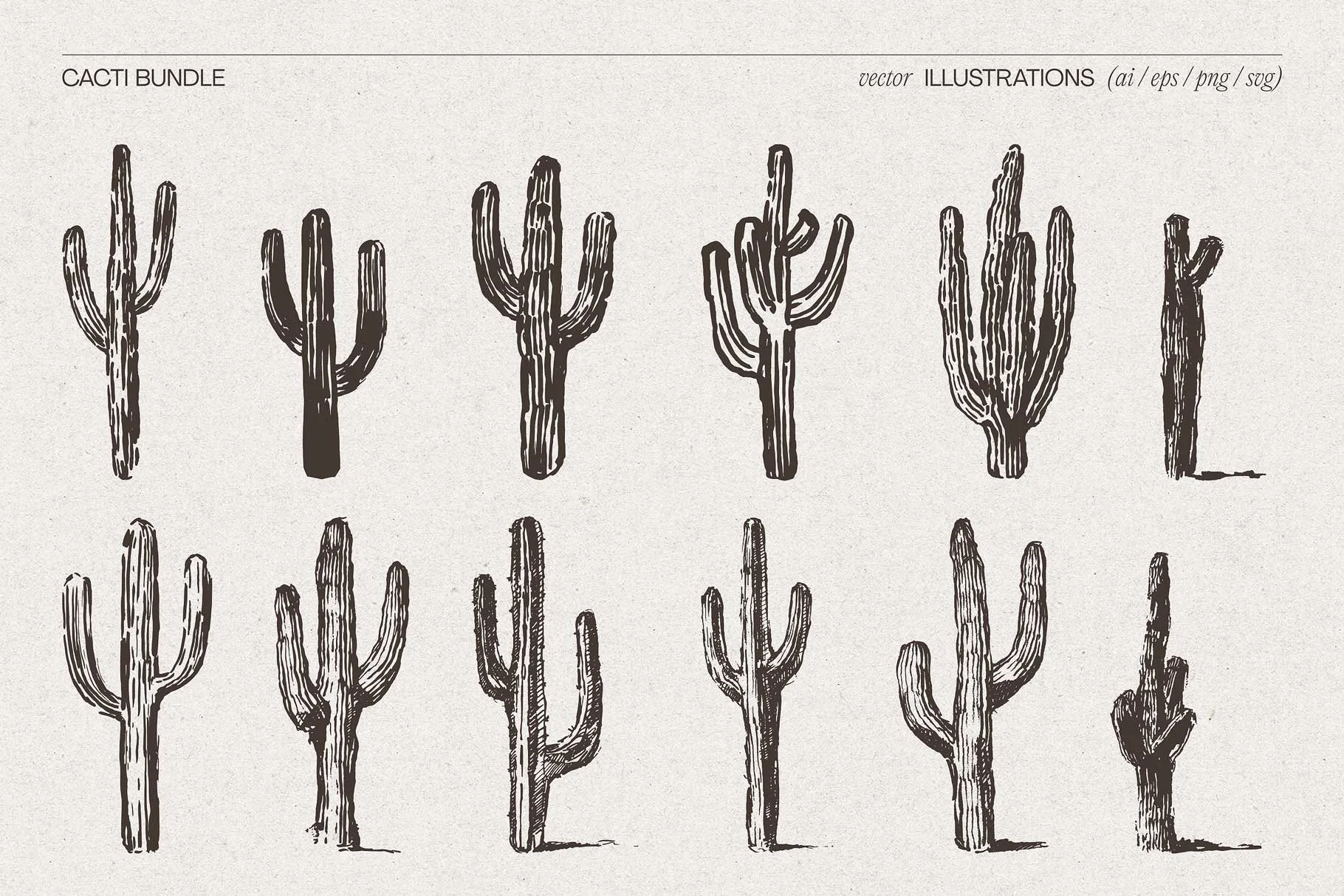 cacti-8.jpg