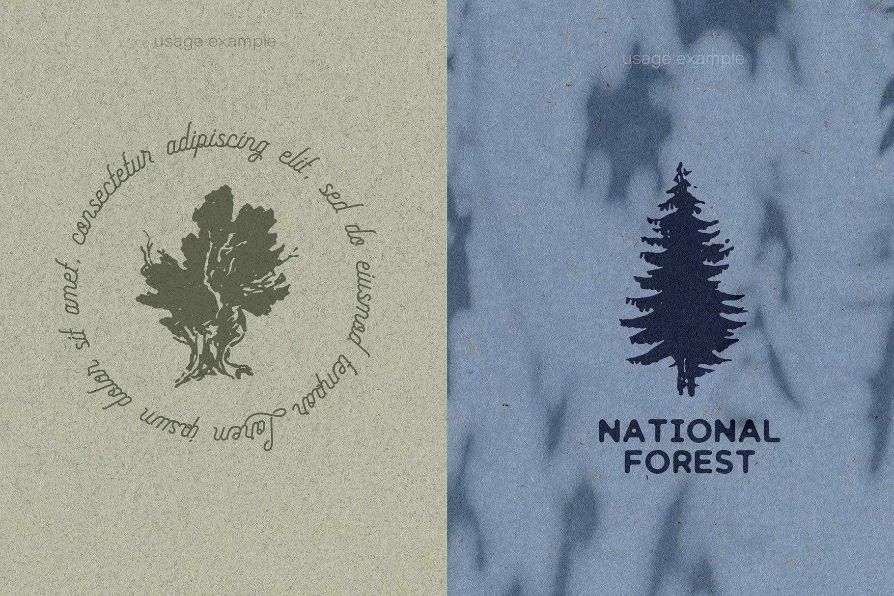 conifer-05.jpg