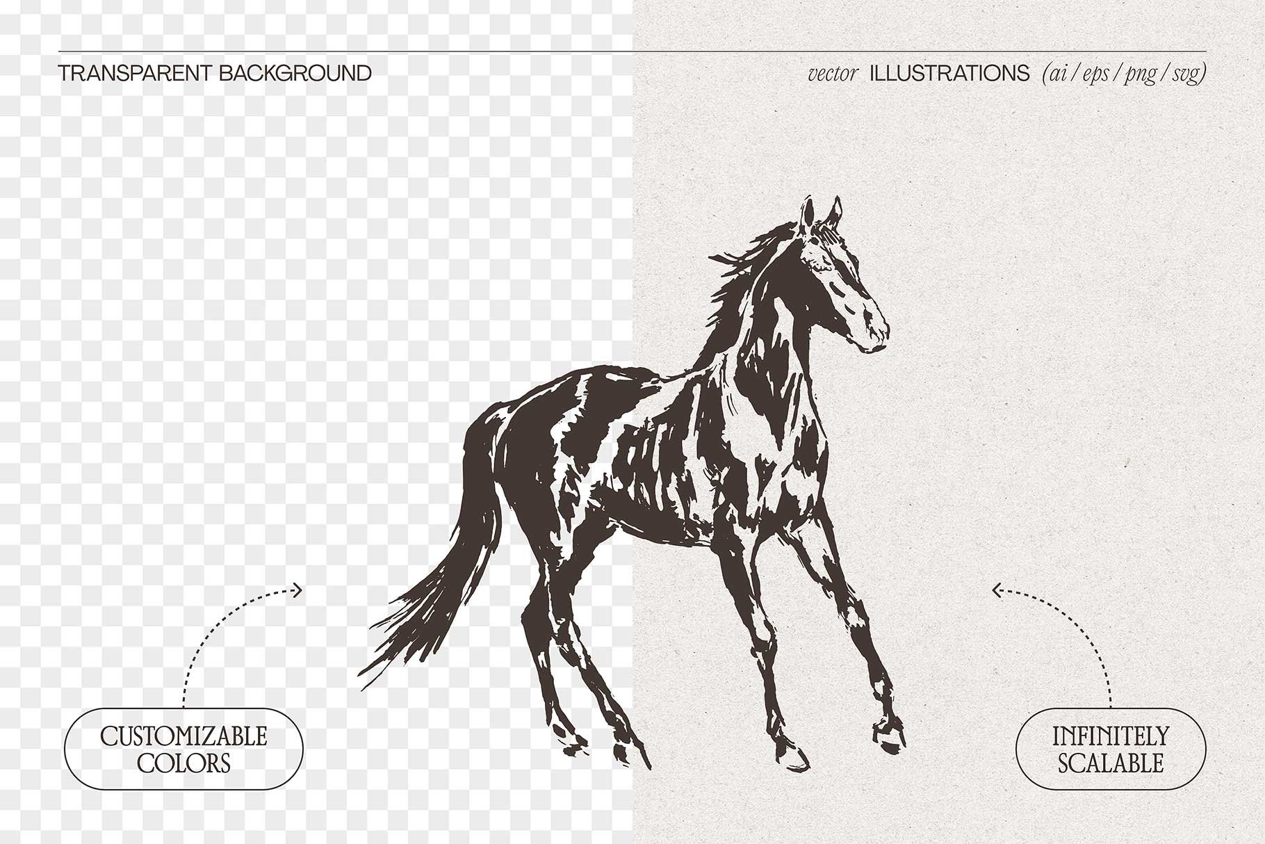 horse-02.jpg