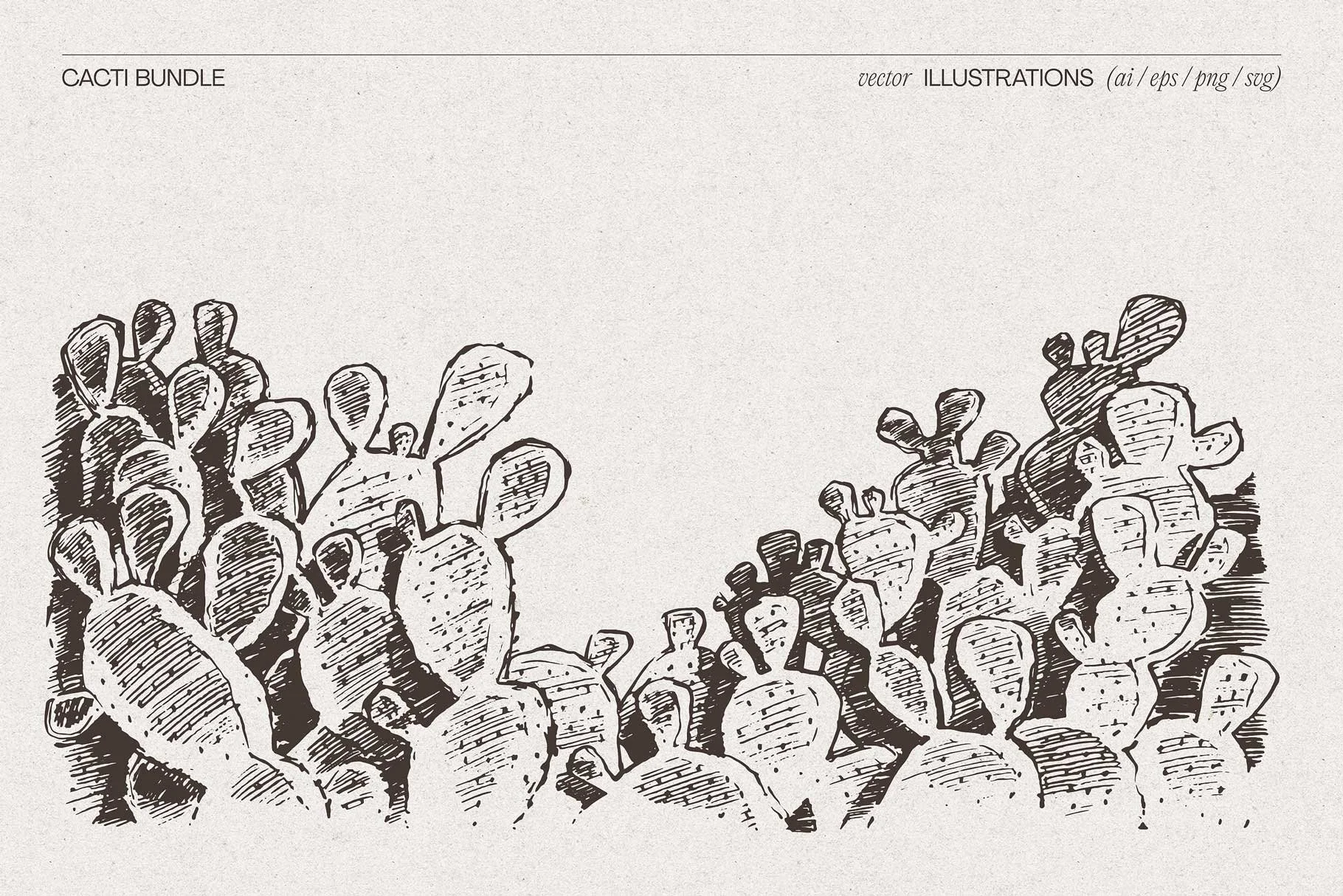 cacti-10.jpg