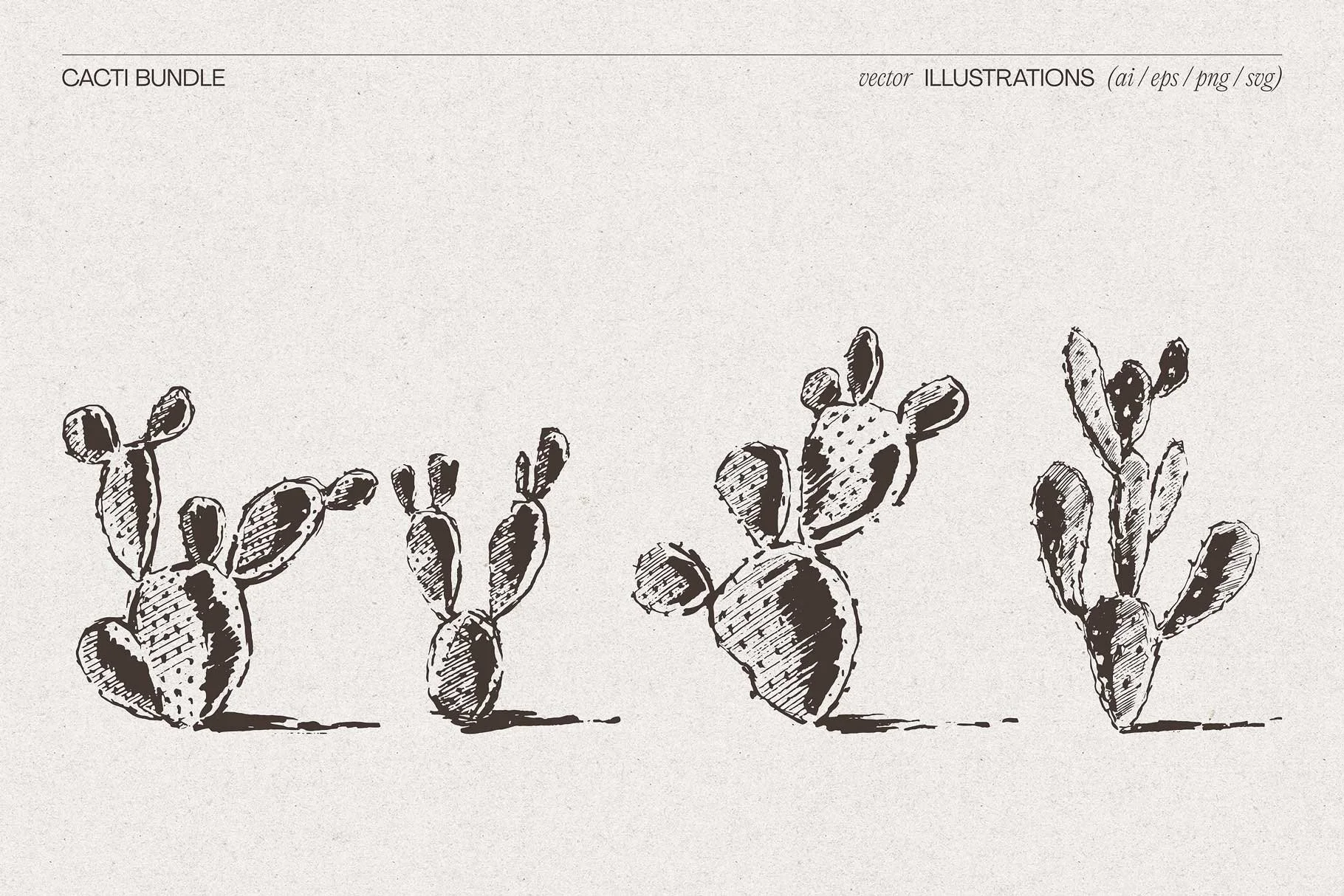cacti-9.jpg