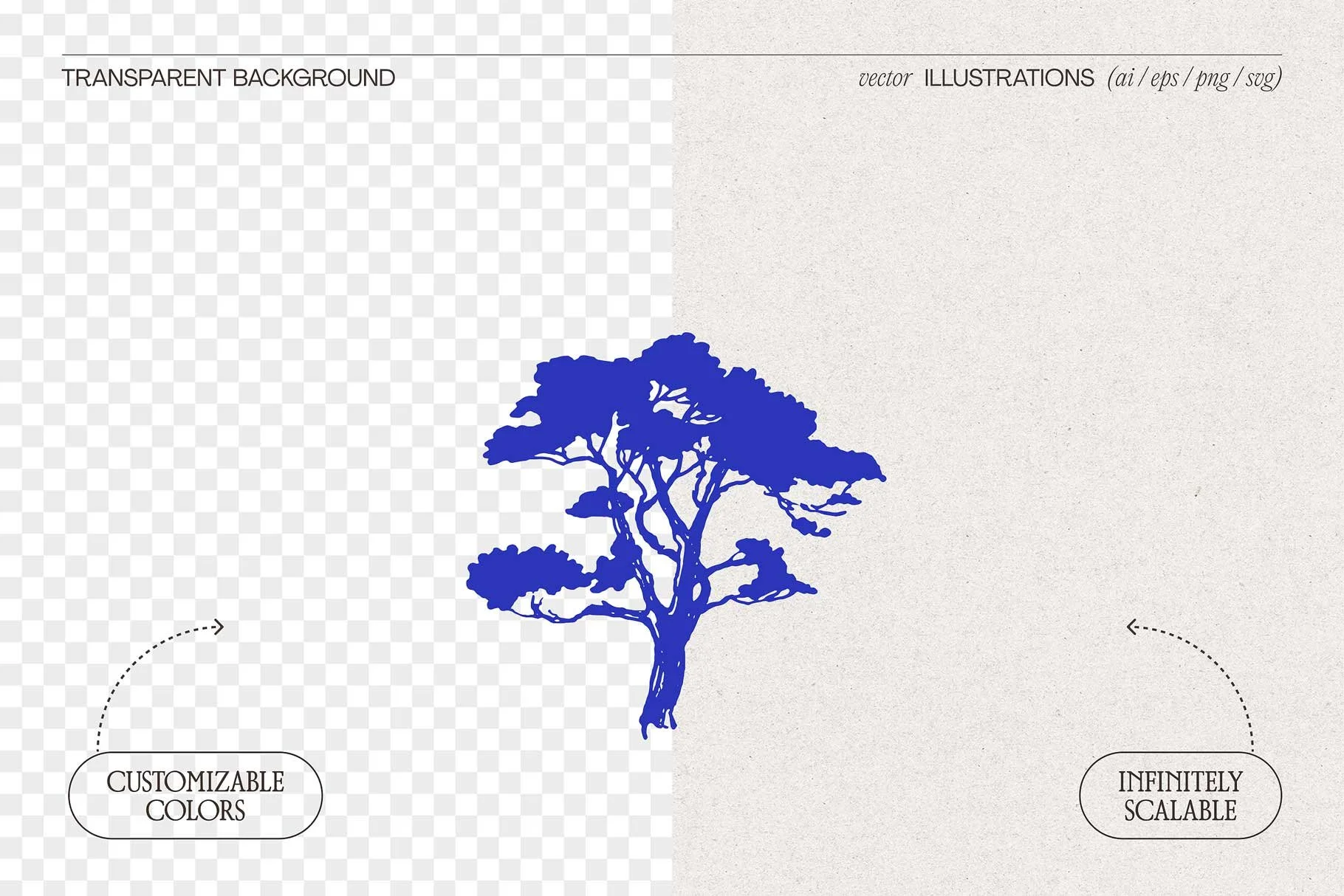 conifer-02.jpg