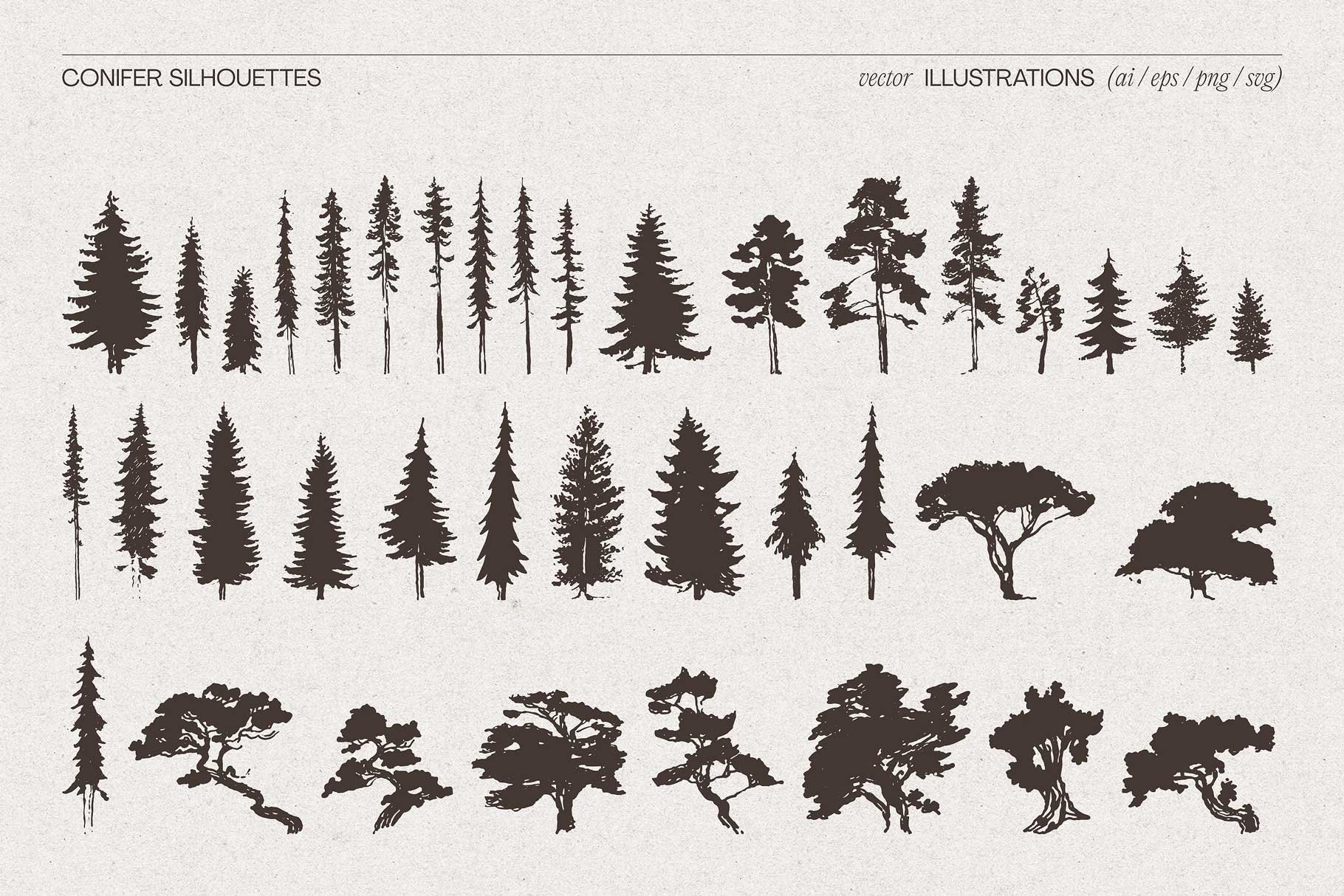conifer-08.jpg