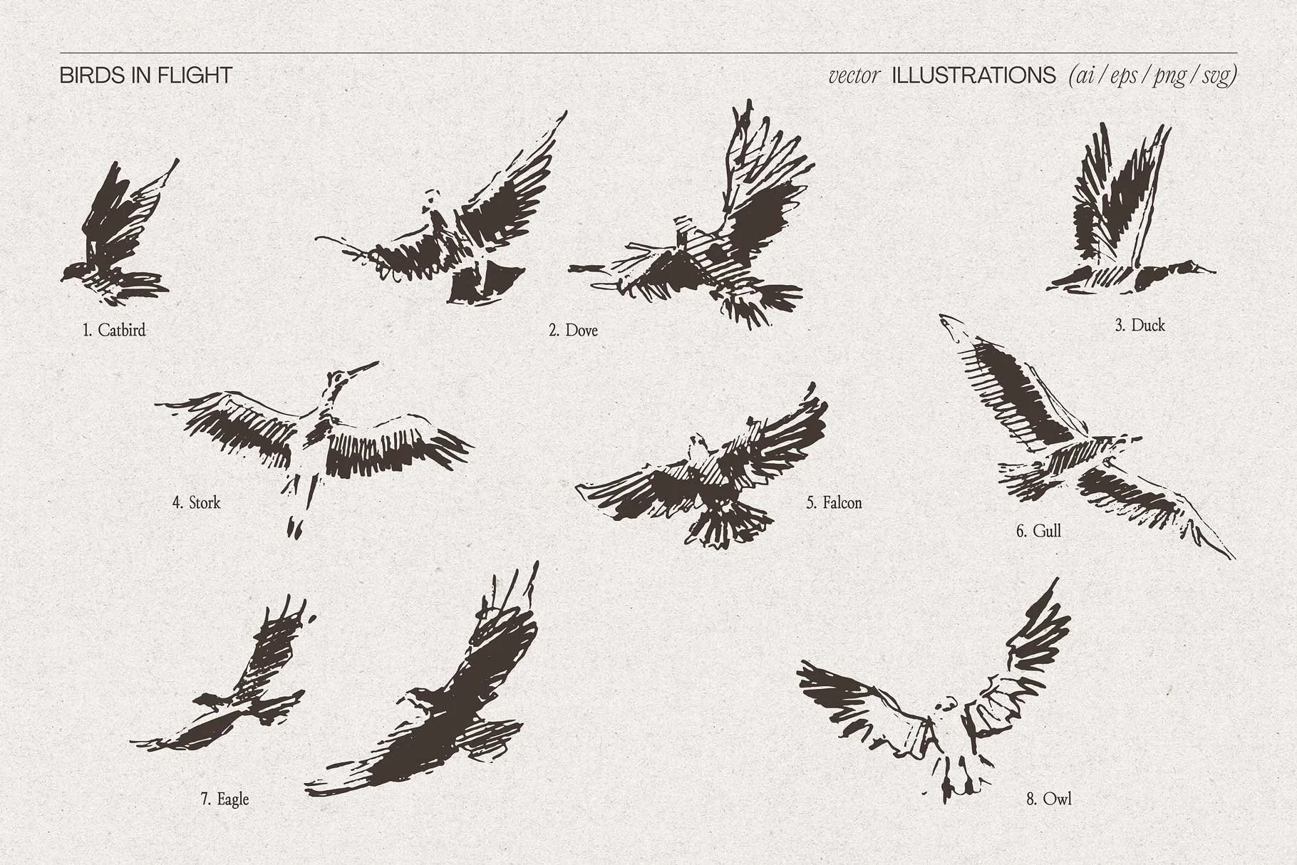 birds-flig-9.jpg
