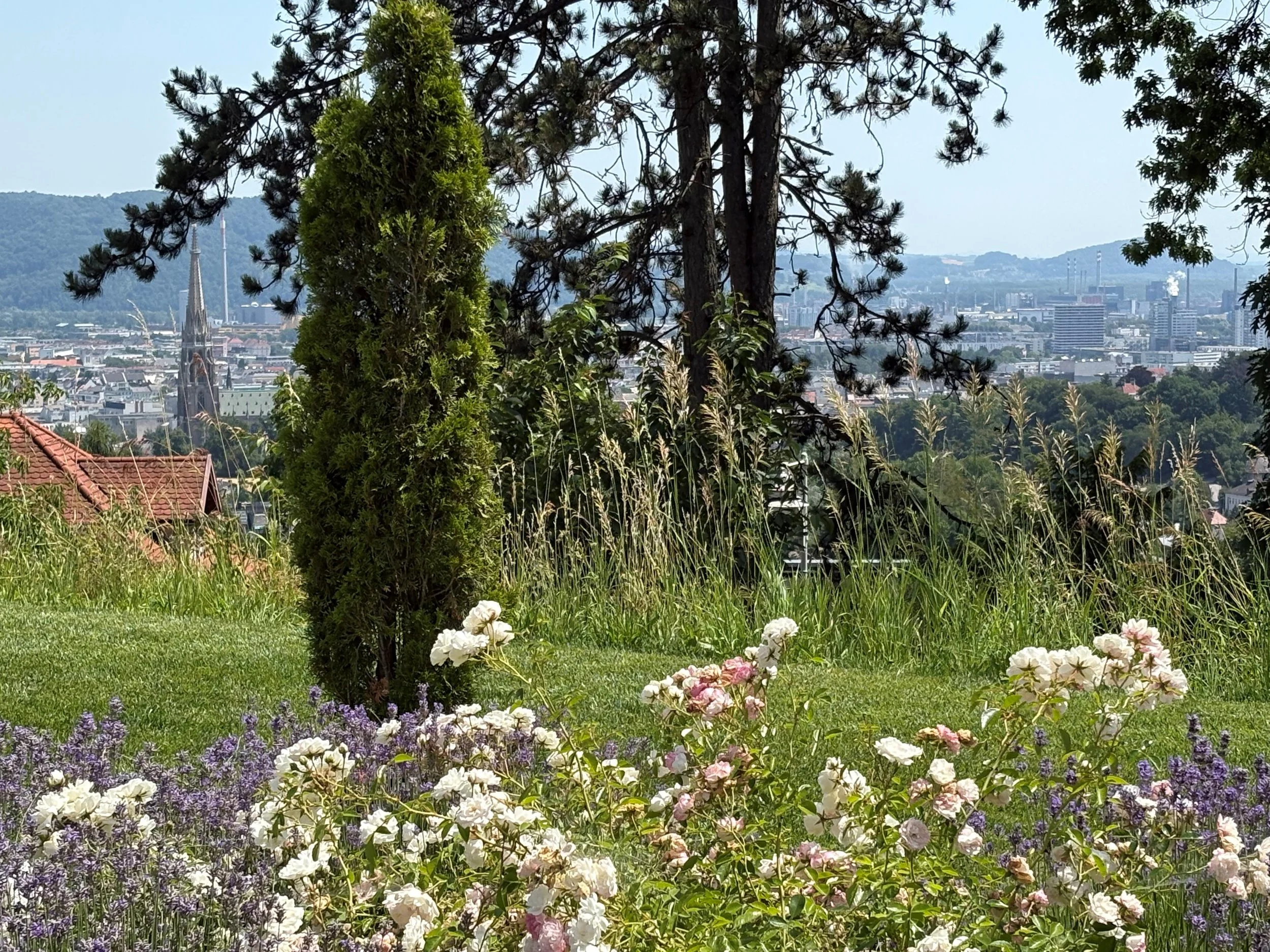 JGMH_außen NEU 4.jpg