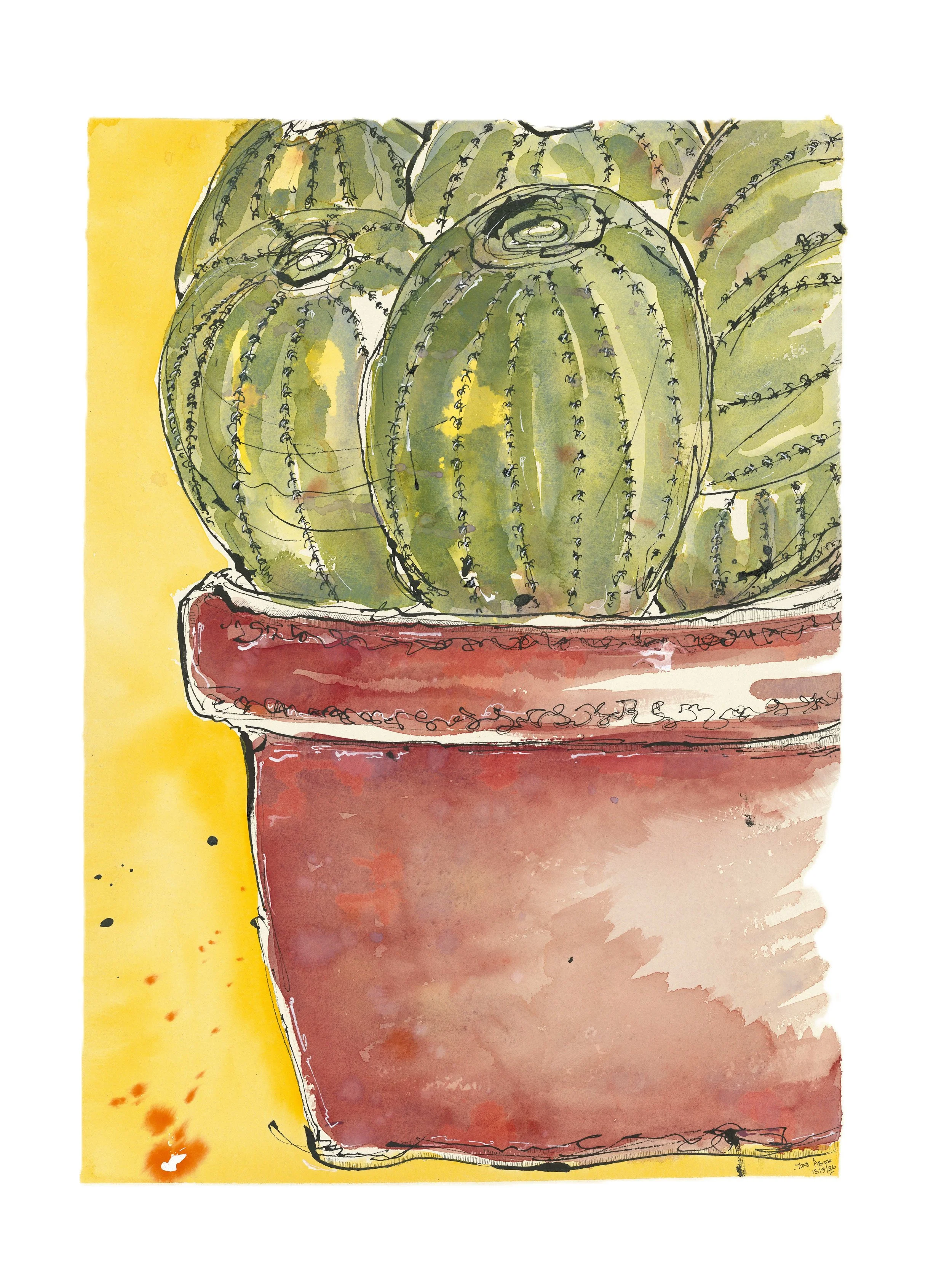 Cactus Bush
