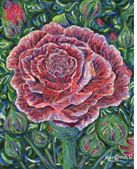 Screenshot 2026-03-08 at 5.07.42 pm.png