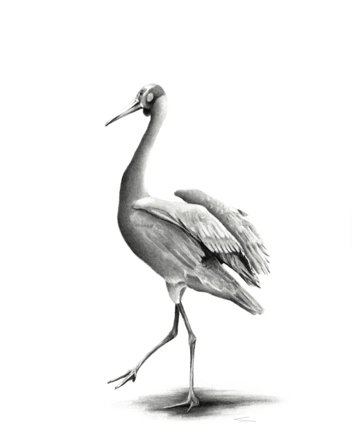 Pop Up Exhibition Gallery 8 266.jpg