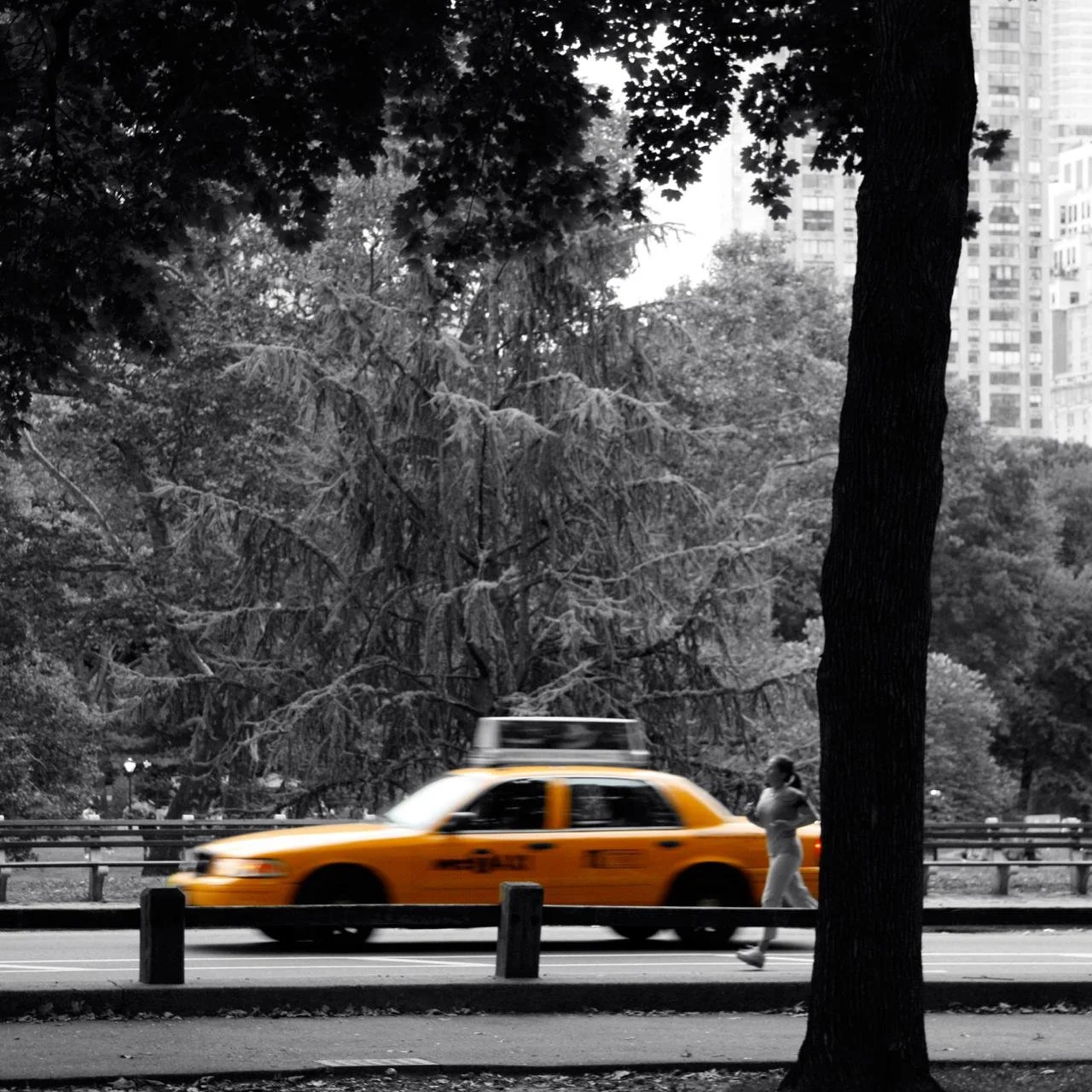 A black and white city park scene with a tree in the foreground, a person walking, and a yellow taxi cab passing by on the street.