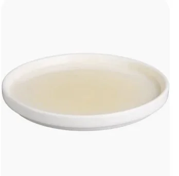 Lemon fondant plate .jpg