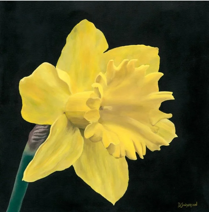 Pop Up Exhibition 35.jpg