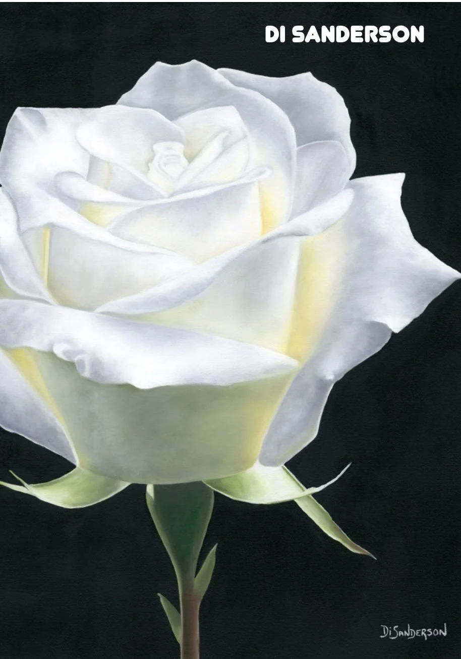 Pop Up Exhibition 34.jpg