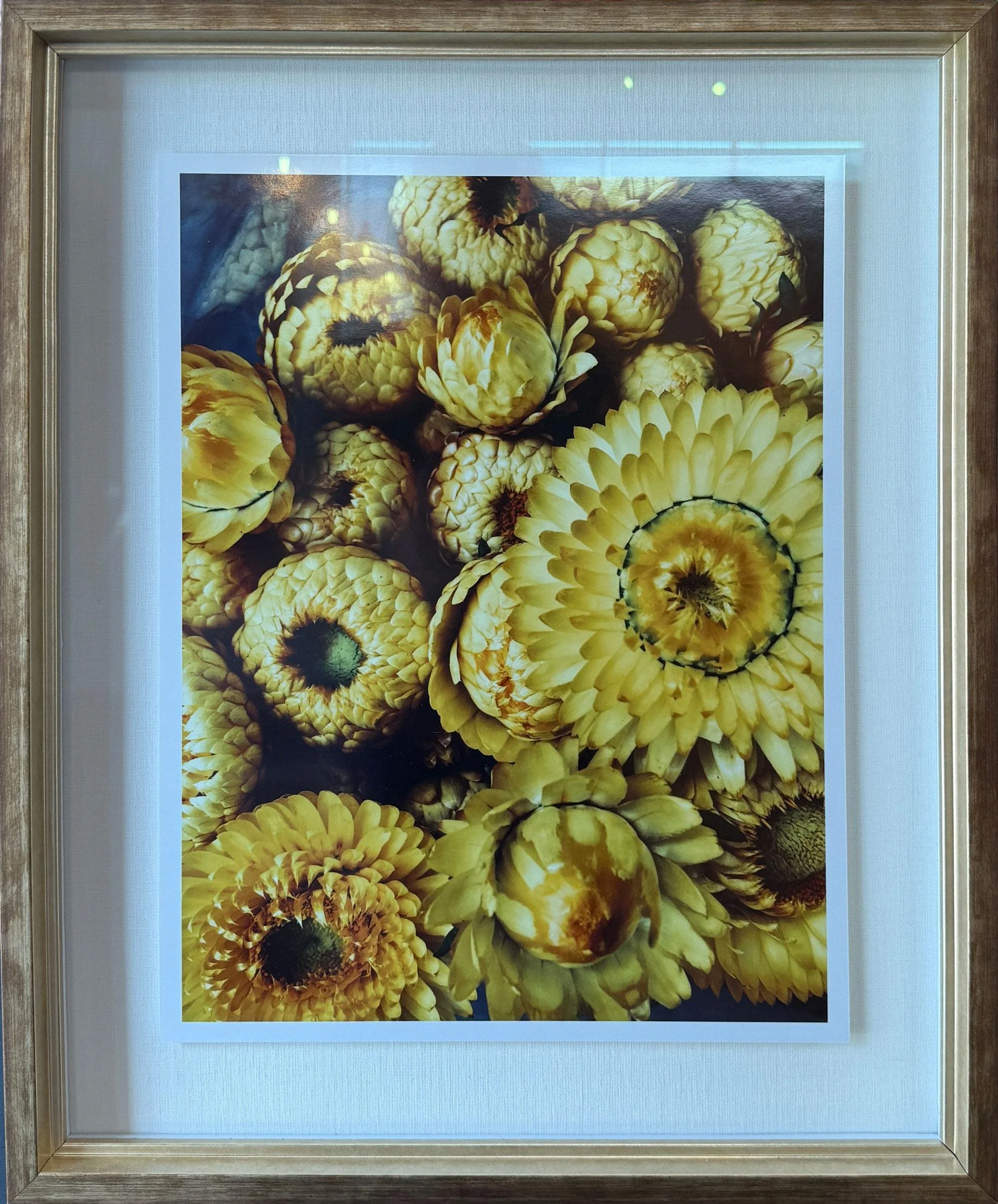 PHOTO-2025-11-14-10-30-25 3.jpg