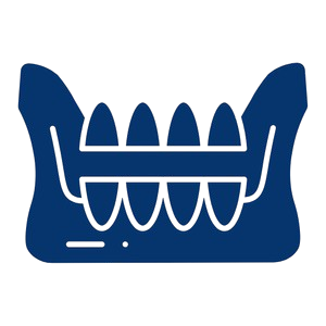 Knochenaufbau und Sinuslift