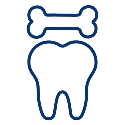Spezielle Themen und Technik