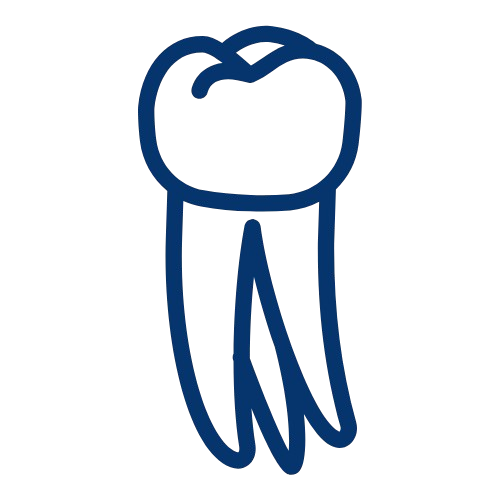 Grundlagen der Endodontie