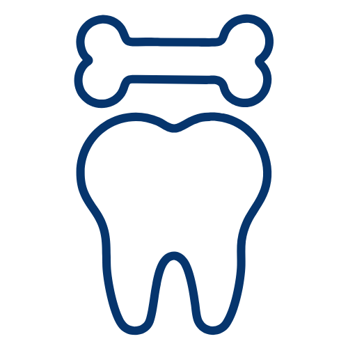 Illustration eines Zahns mit einem Knochen darüber.