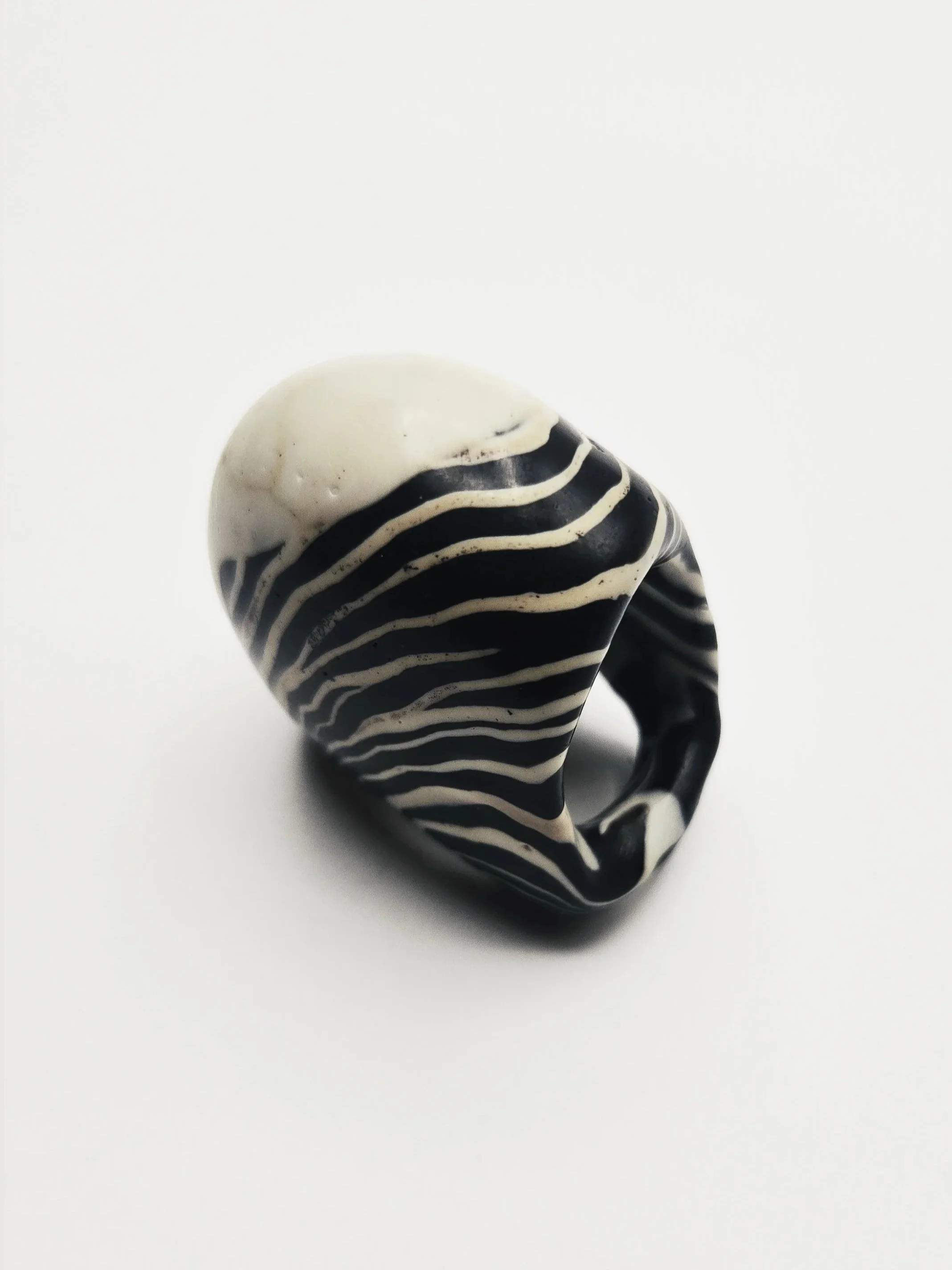 zebra+2c.jpg
