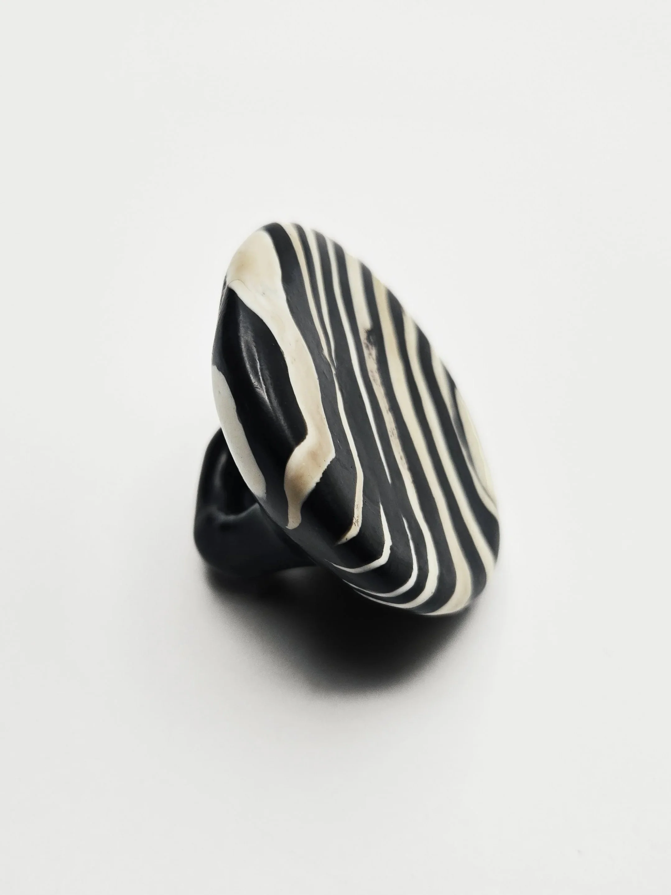 zebra+7b.jpg