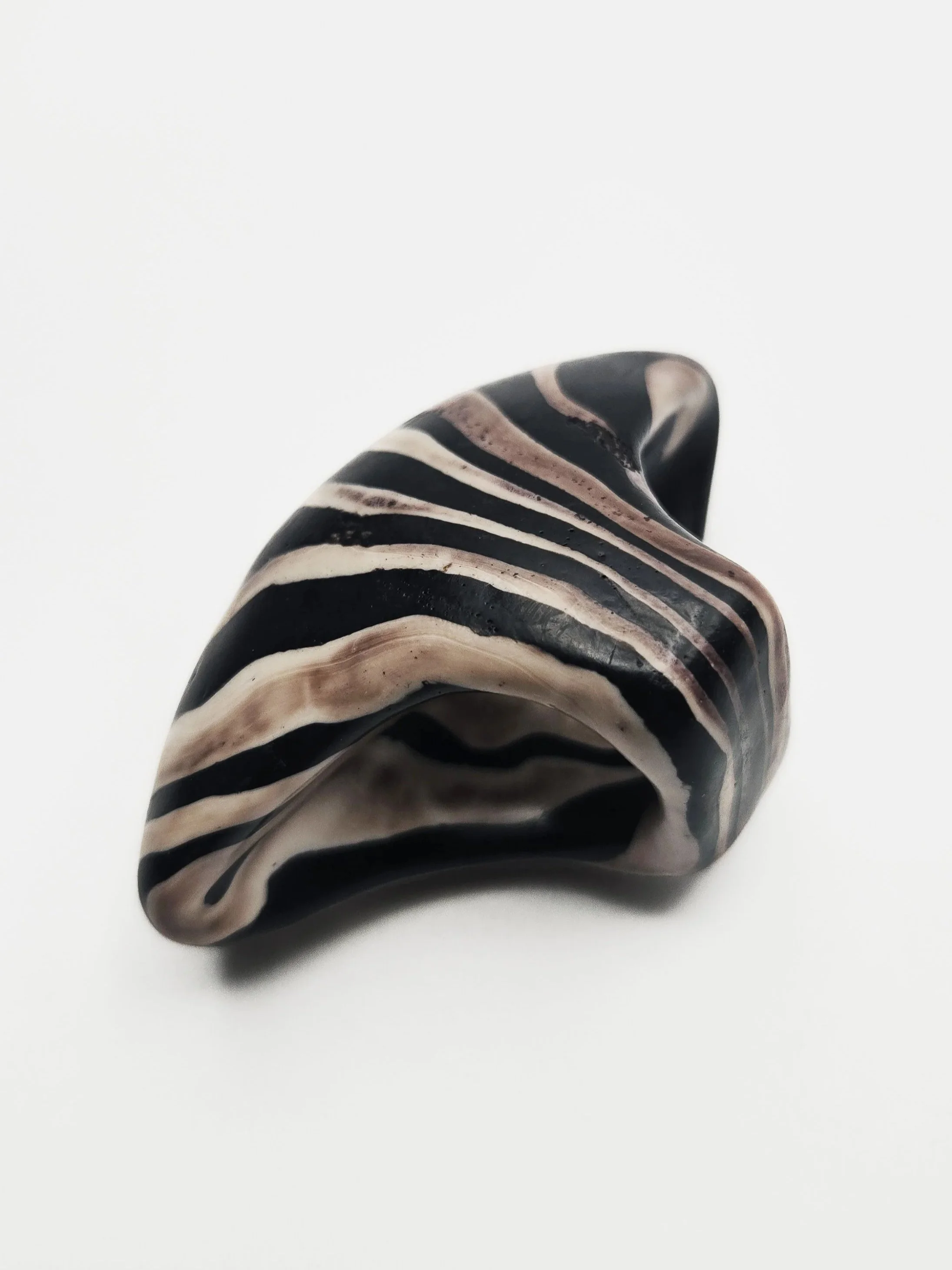 zebra+3b.jpg