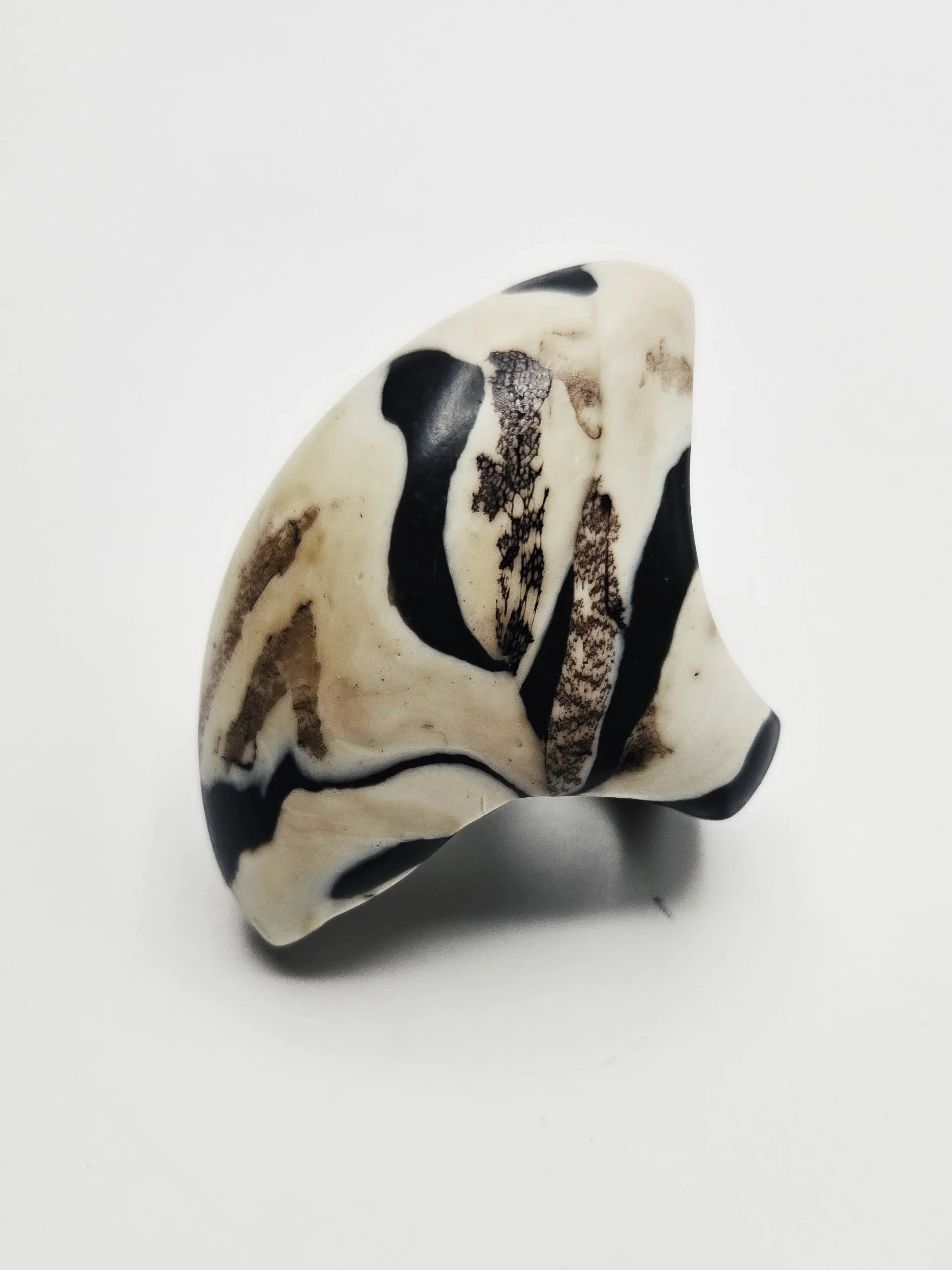 zebra+5b.jpg