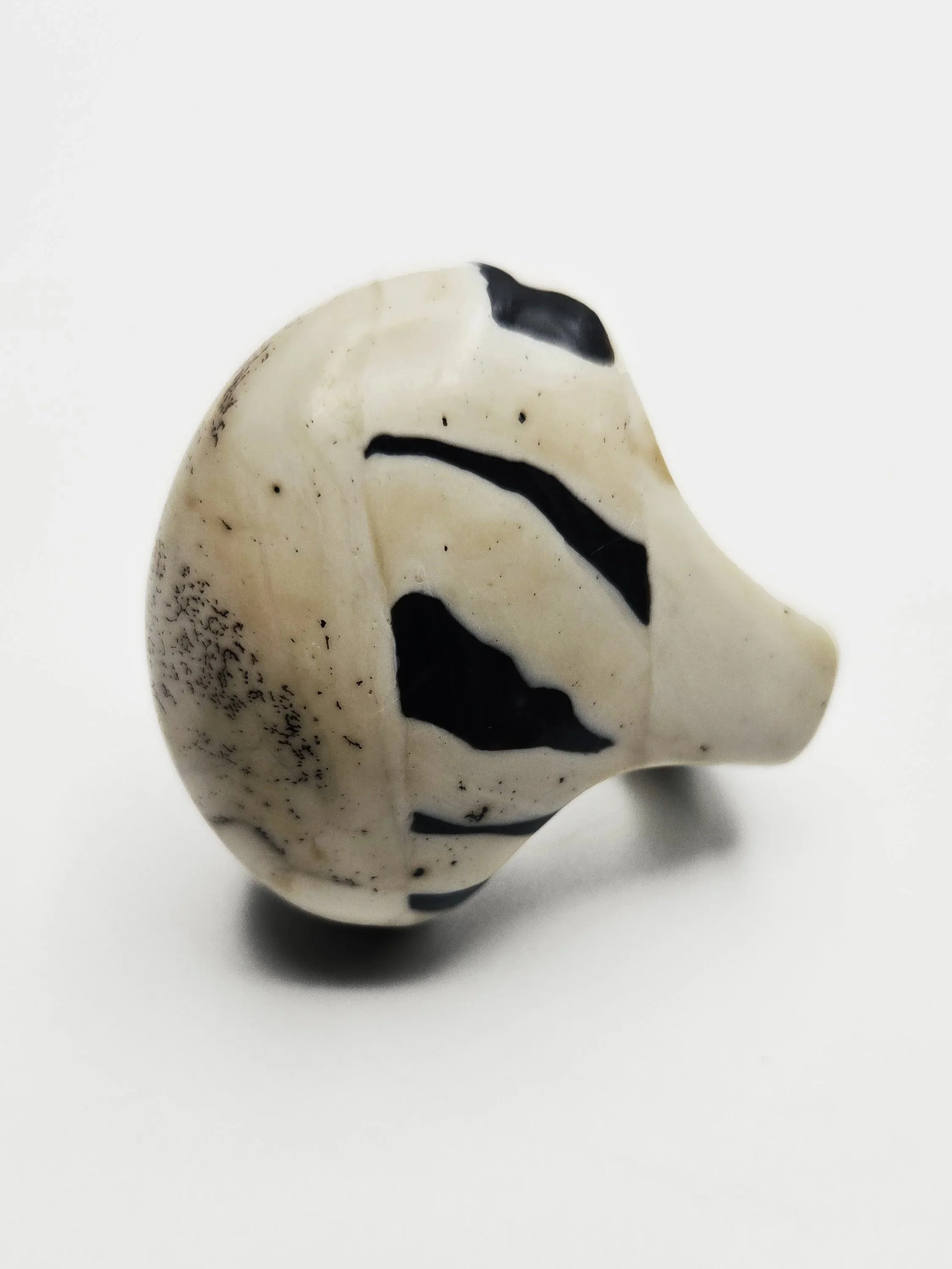 zebra+6b.jpg