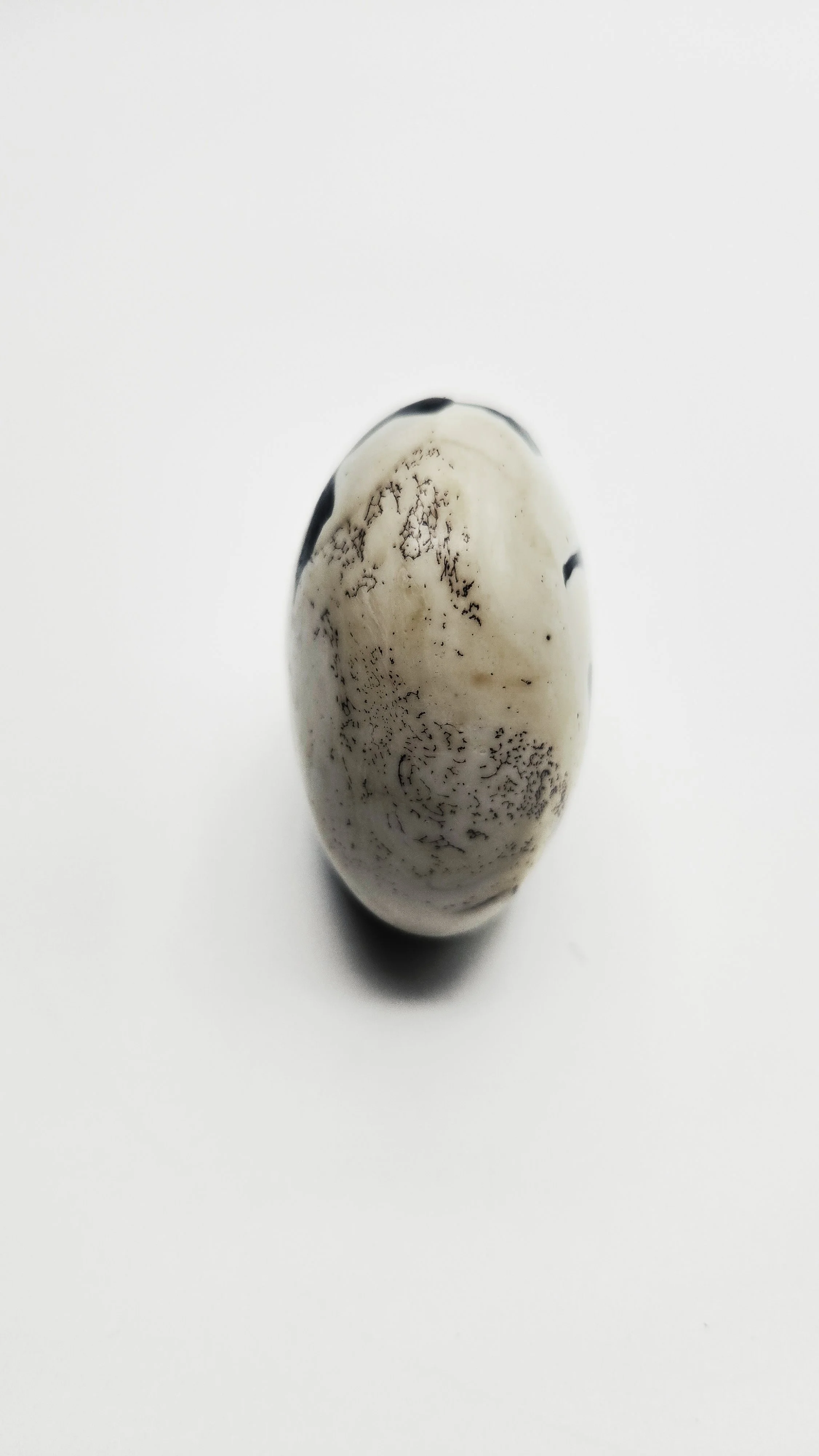 Zebra Vegan Ivory Ring (No. 6)