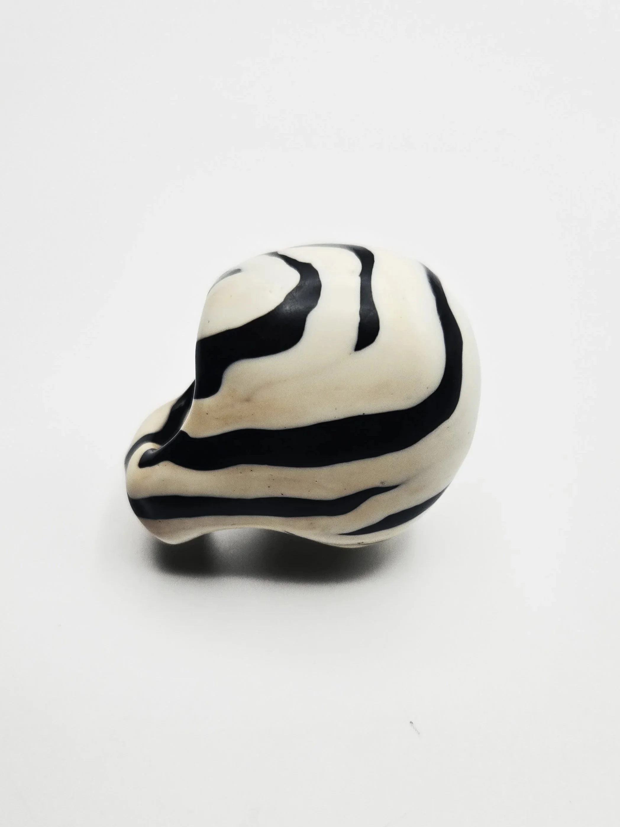 zebra+9b.jpg