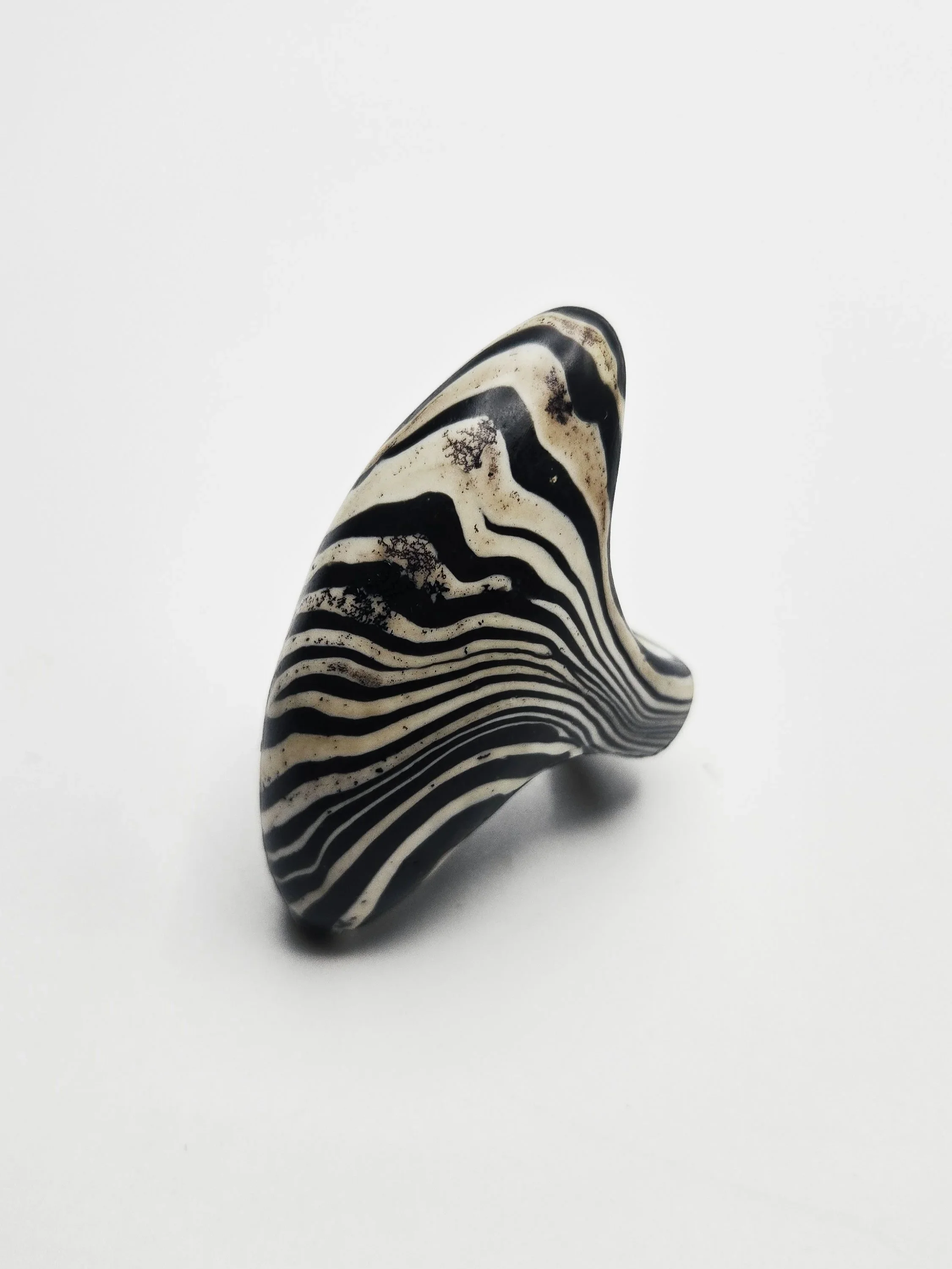 zebra+4ab.jpg