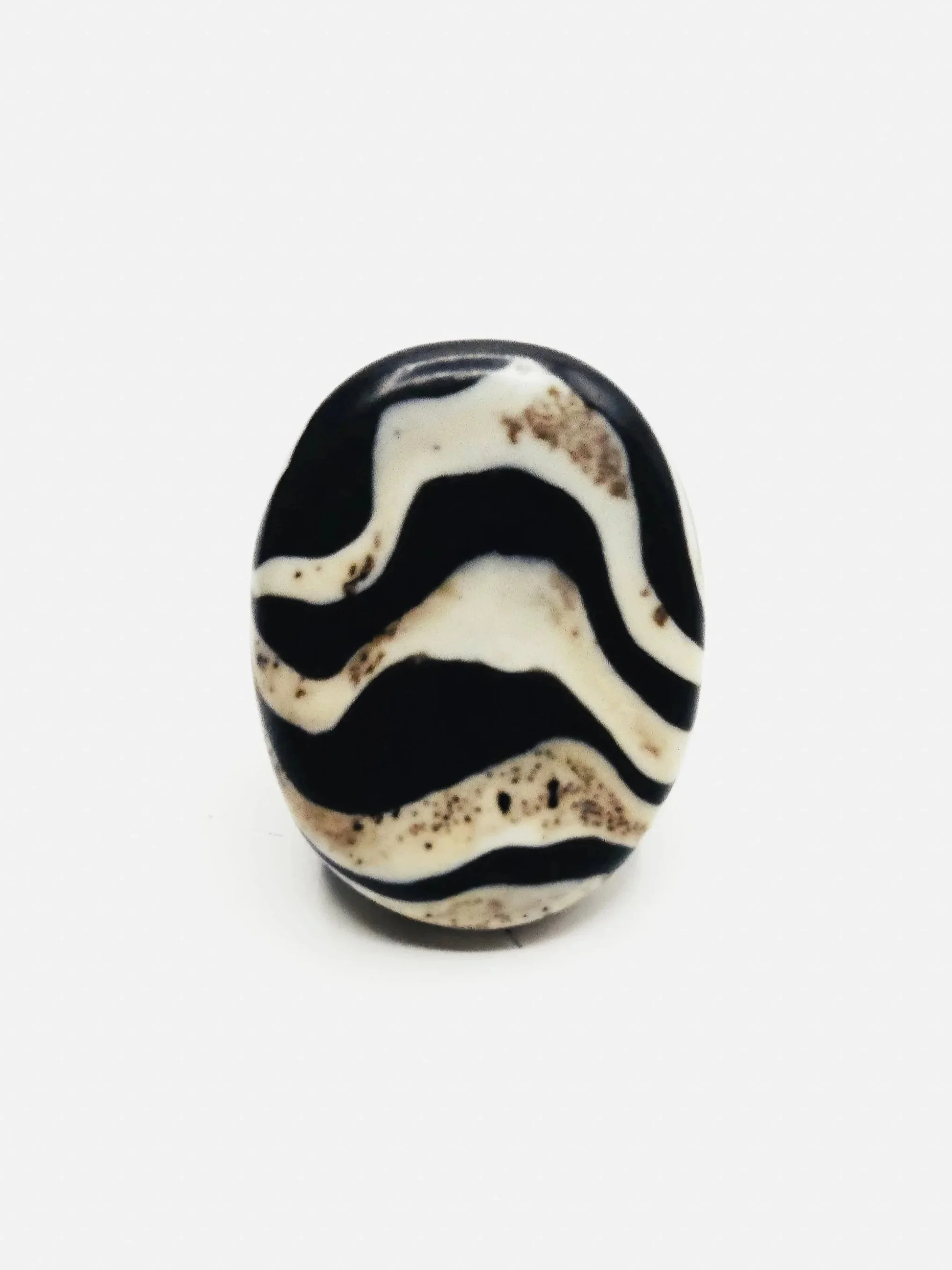 zebra%2B1a.jpg