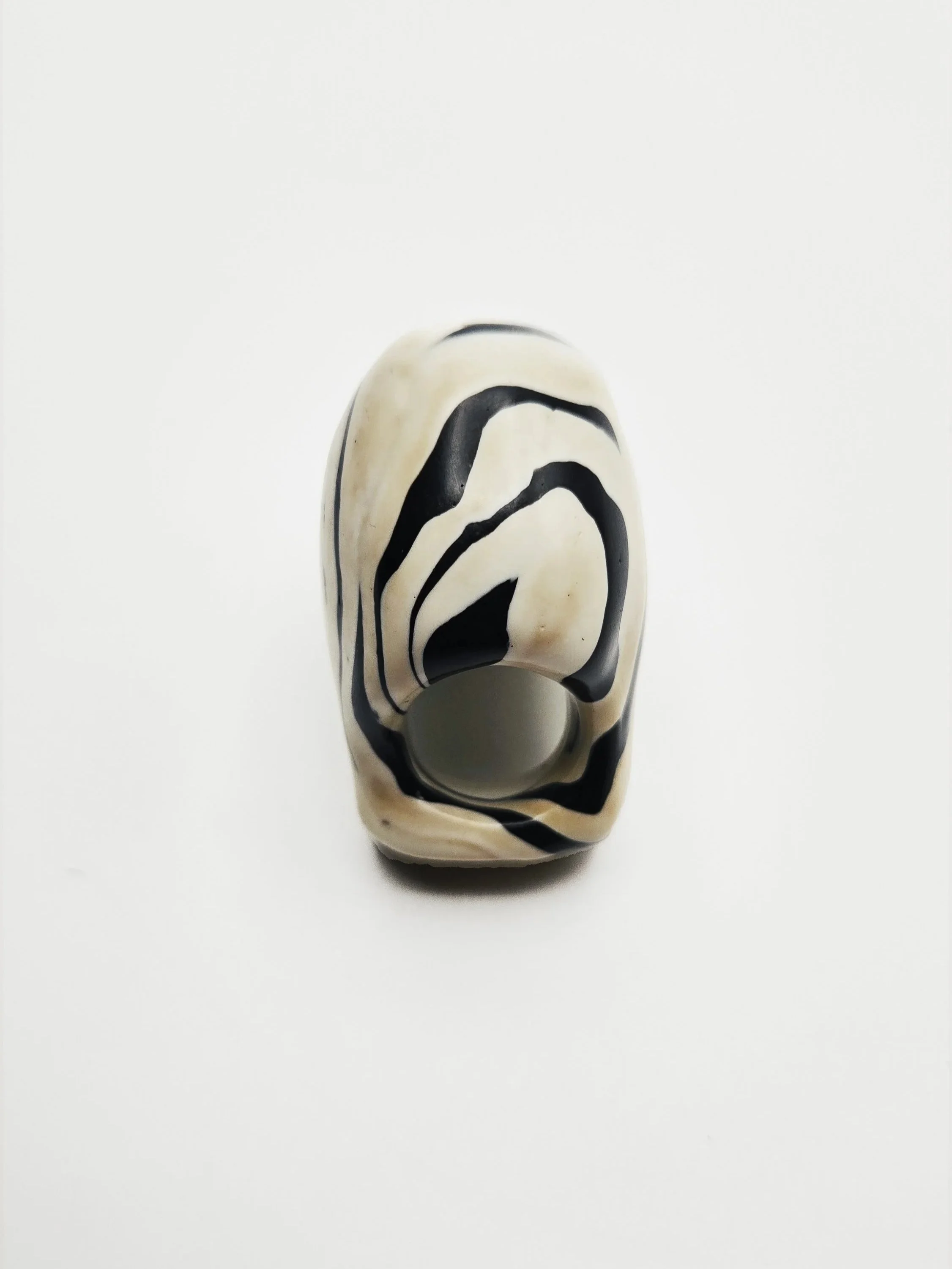 zebra+9d.jpg
