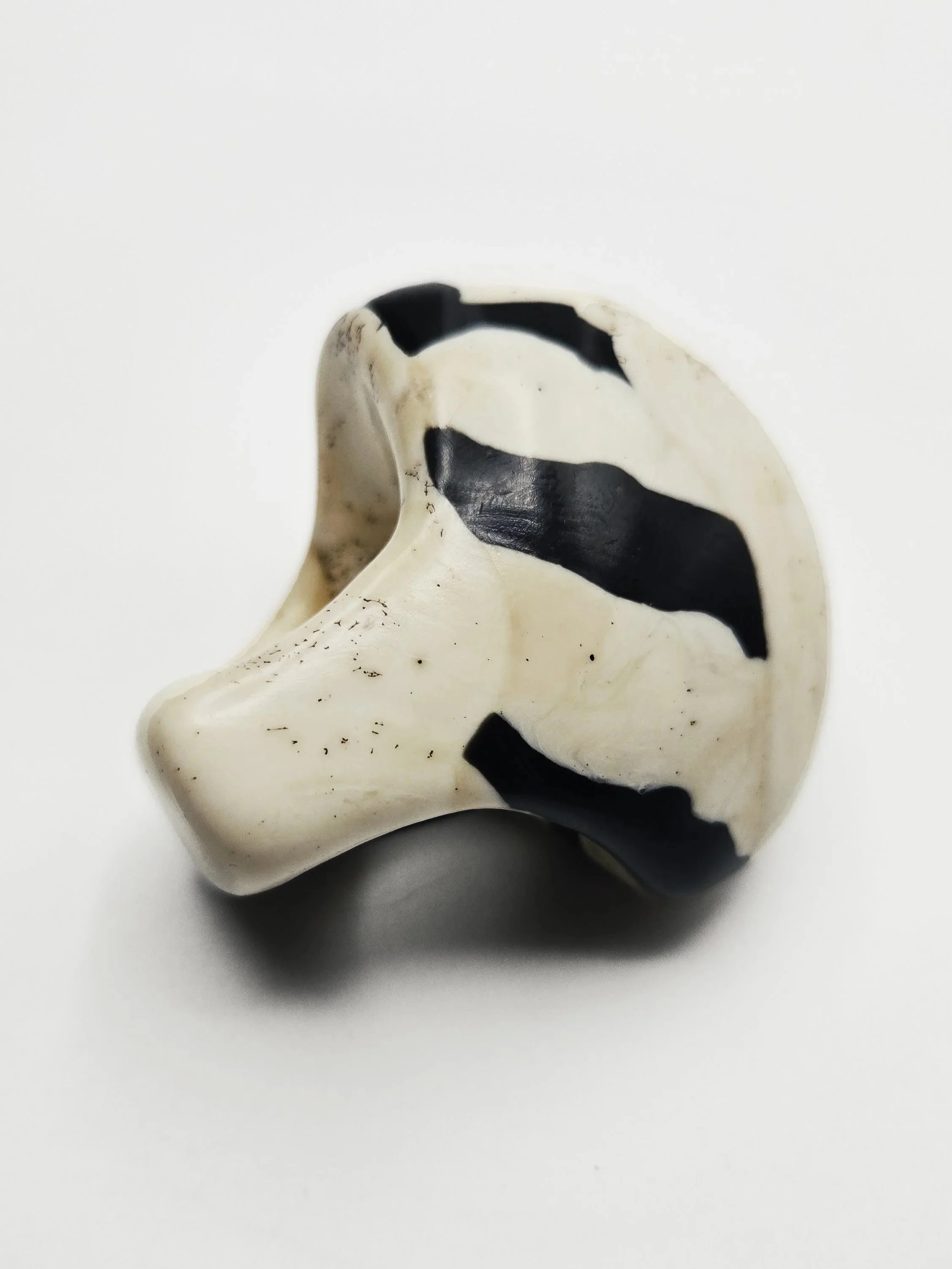 zebra+6c.jpg