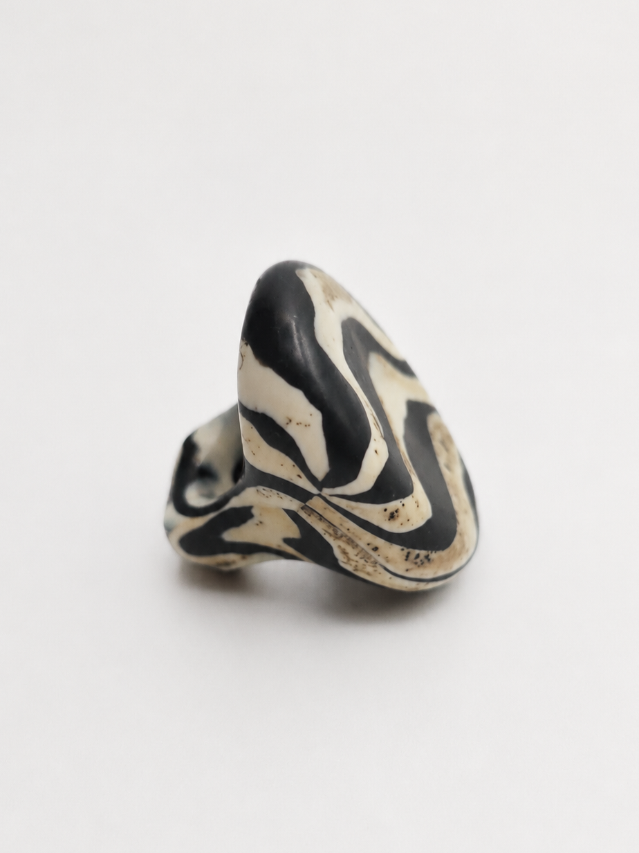 zebra+1b.png